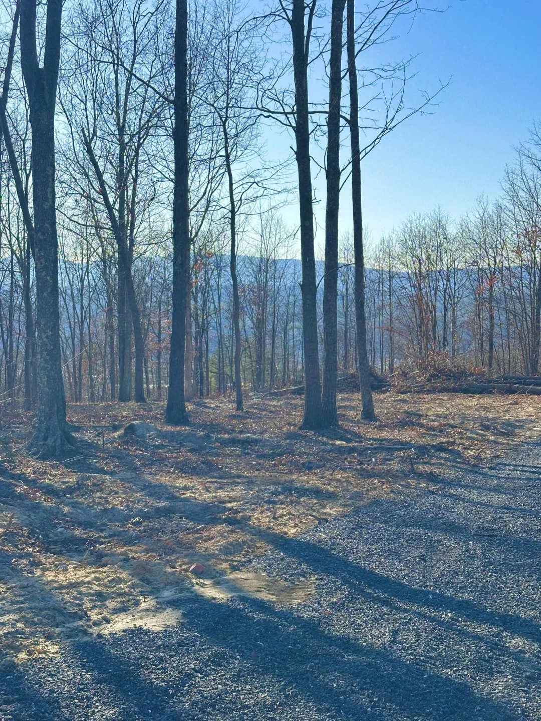 0 Dry Run Overlook - Photo 8
