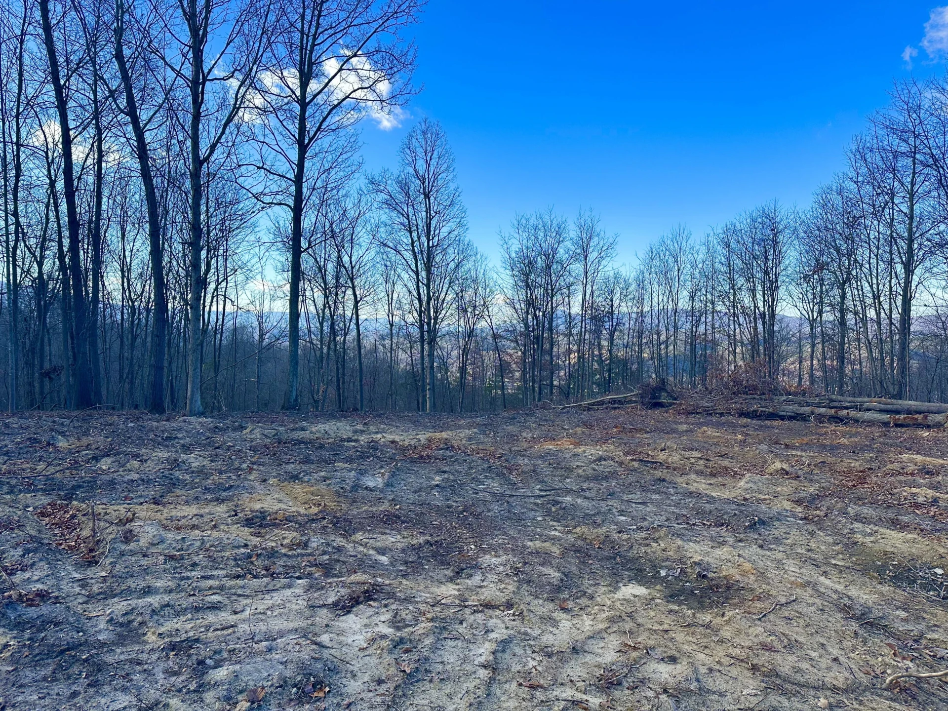0 Dry Run Overlook - Photo 10
