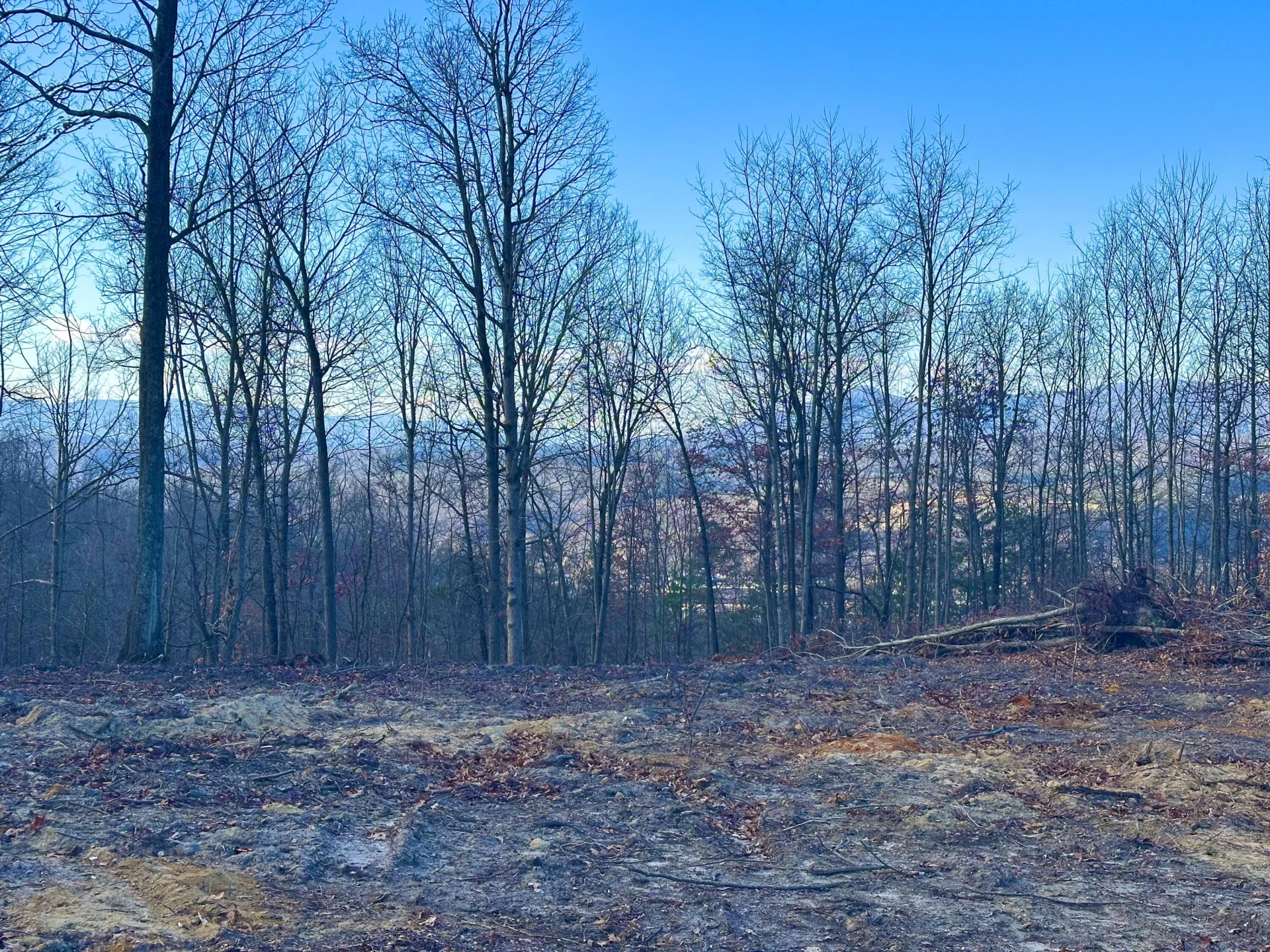 0 Dry Run Overlook - Photo 11
