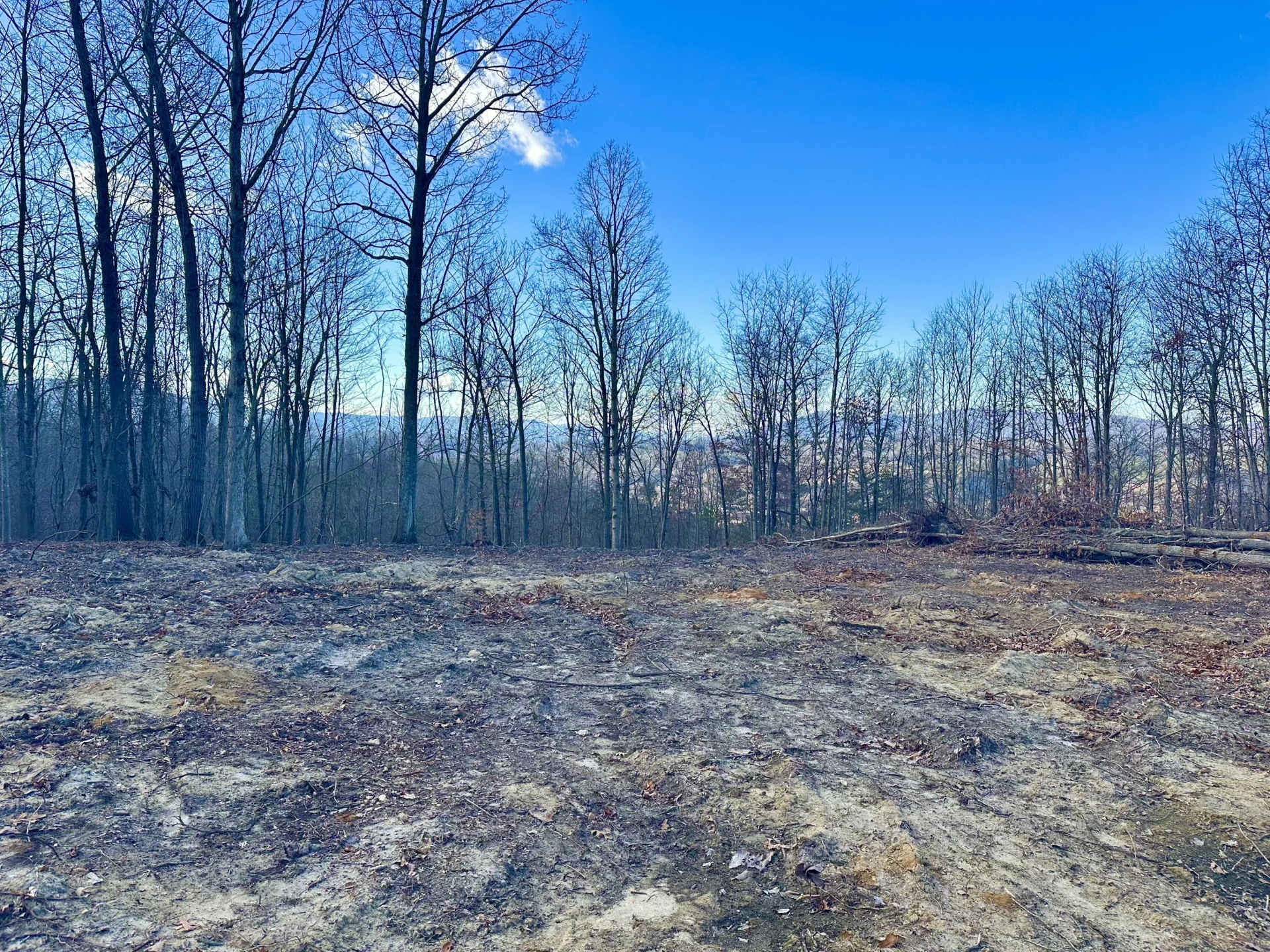 0 Dry Run Overlook - Photo 12