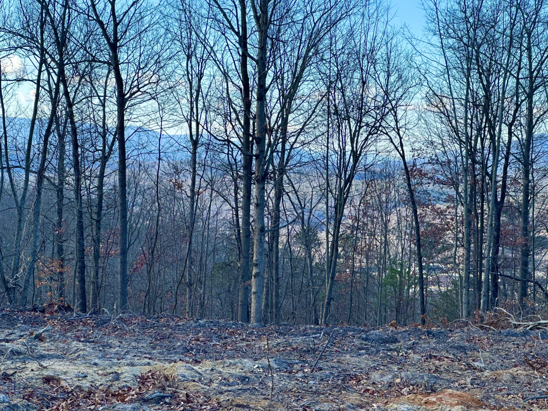 0 Dry Run Overlook - Photo 13