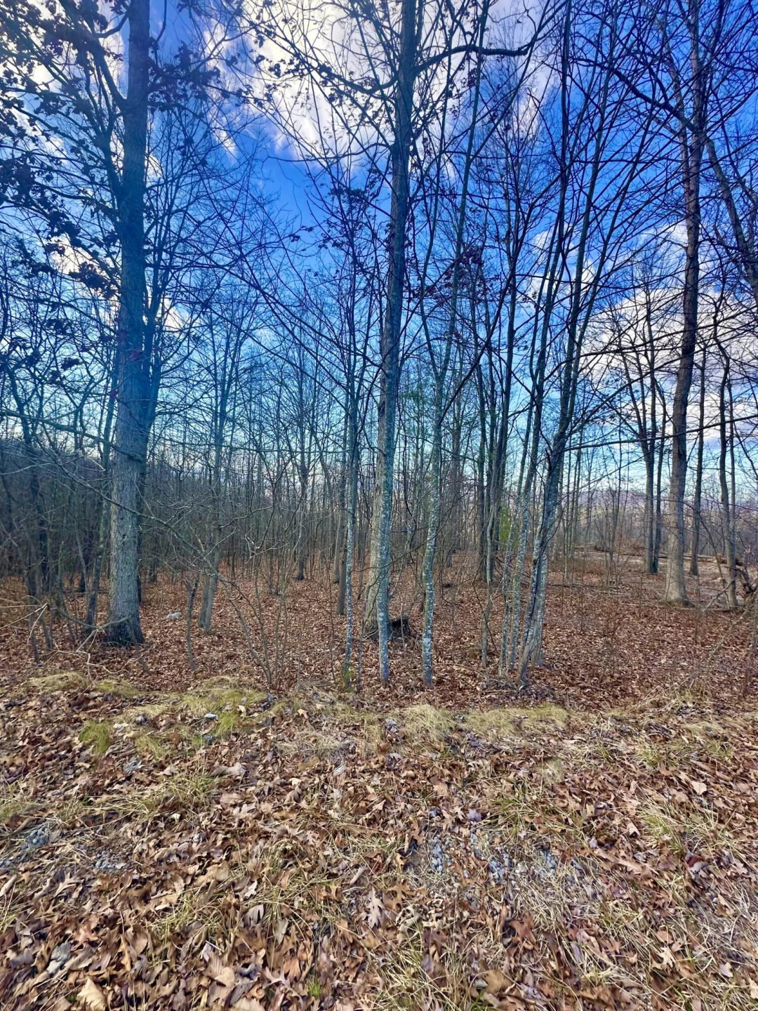 0 Dry Run Overlook - Photo 14
