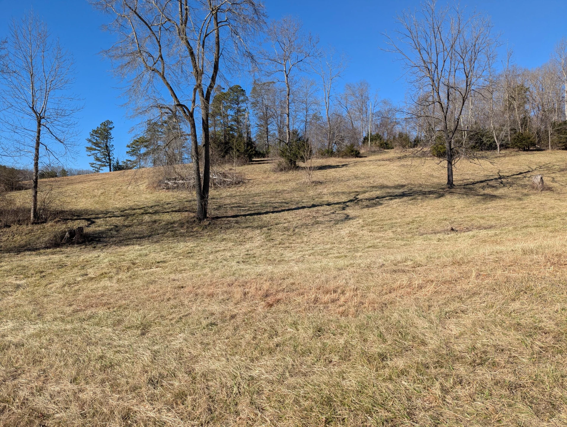 0 Tharp Creek RD