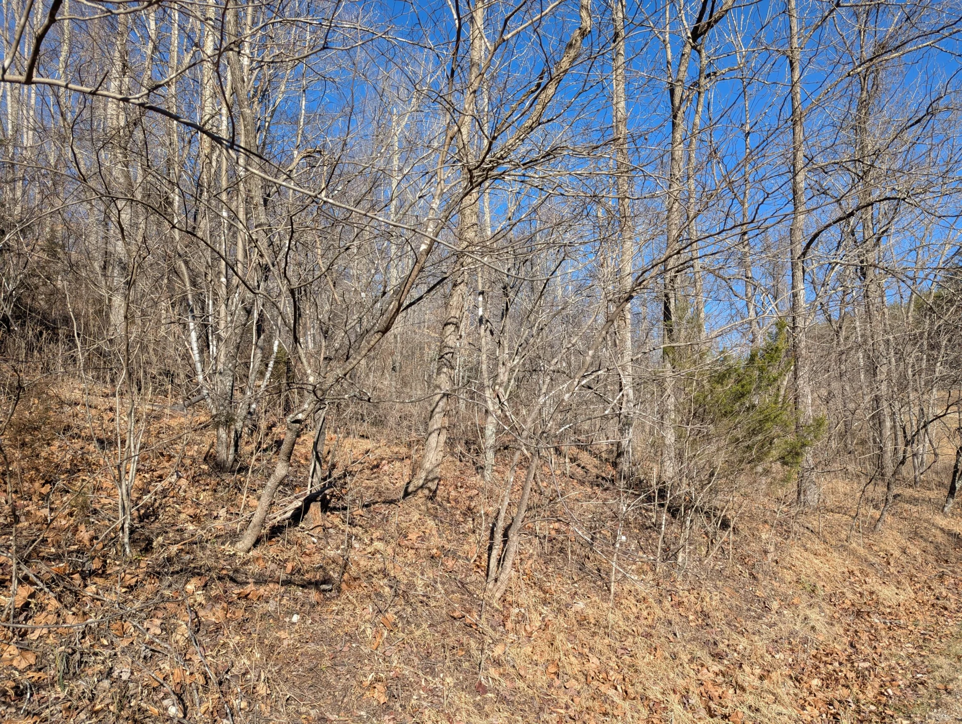 0 Tharp Creek RD - Photo 10