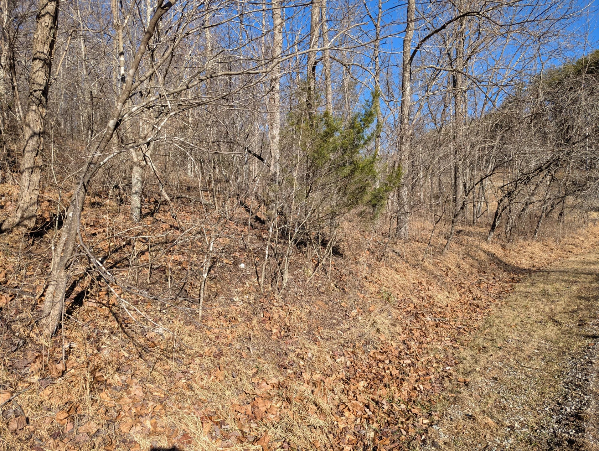 0 Tharp Creek RD - Photo 12