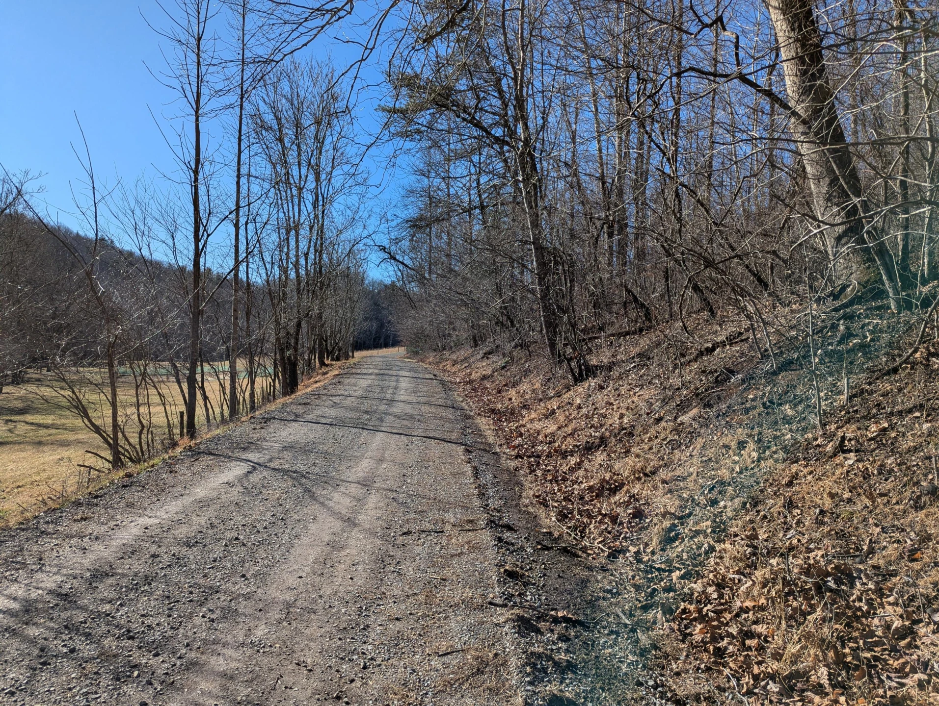 0 Tharp Creek RD - Photo 13