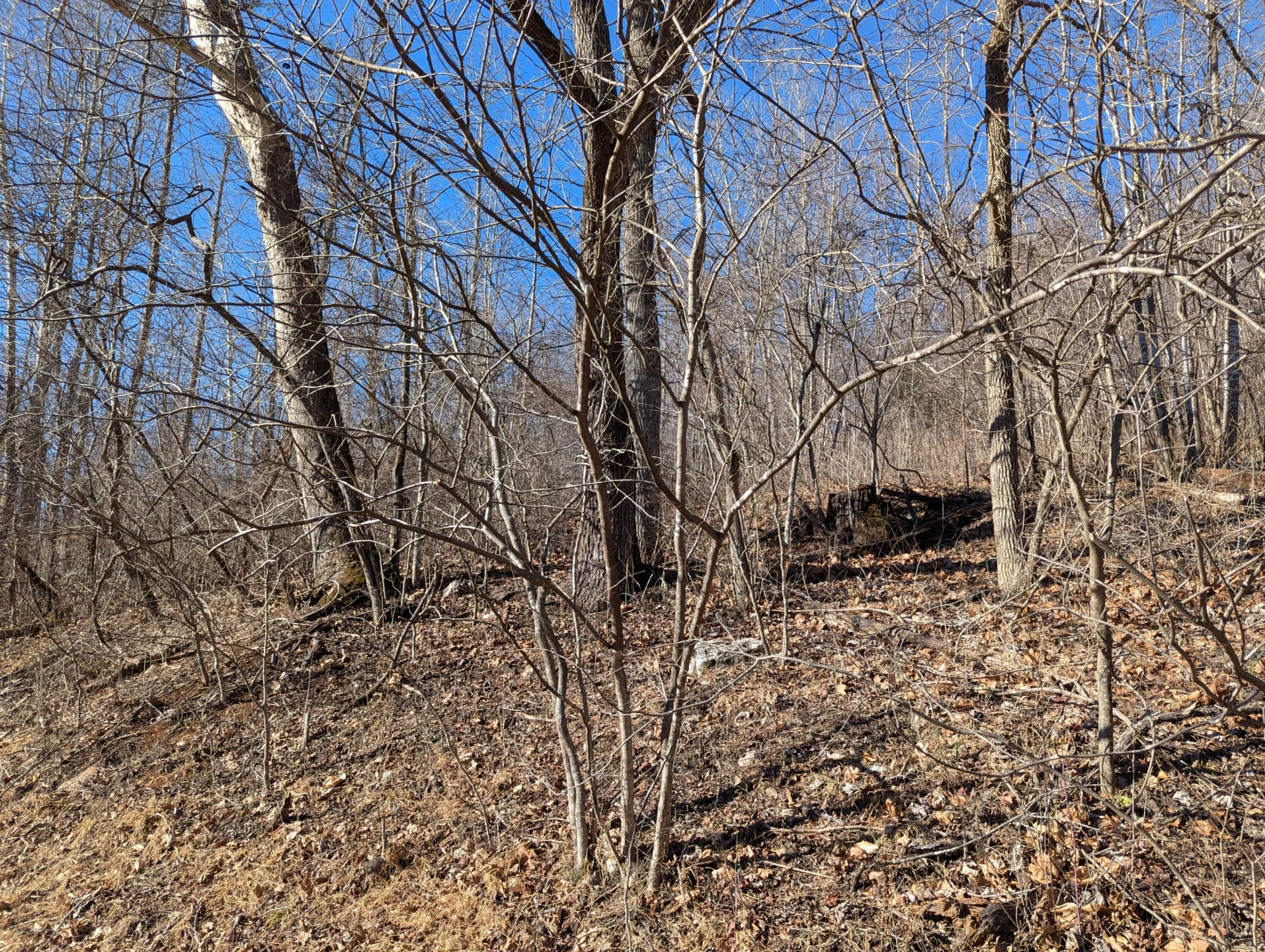 0 Tharp Creek RD - Photo 14