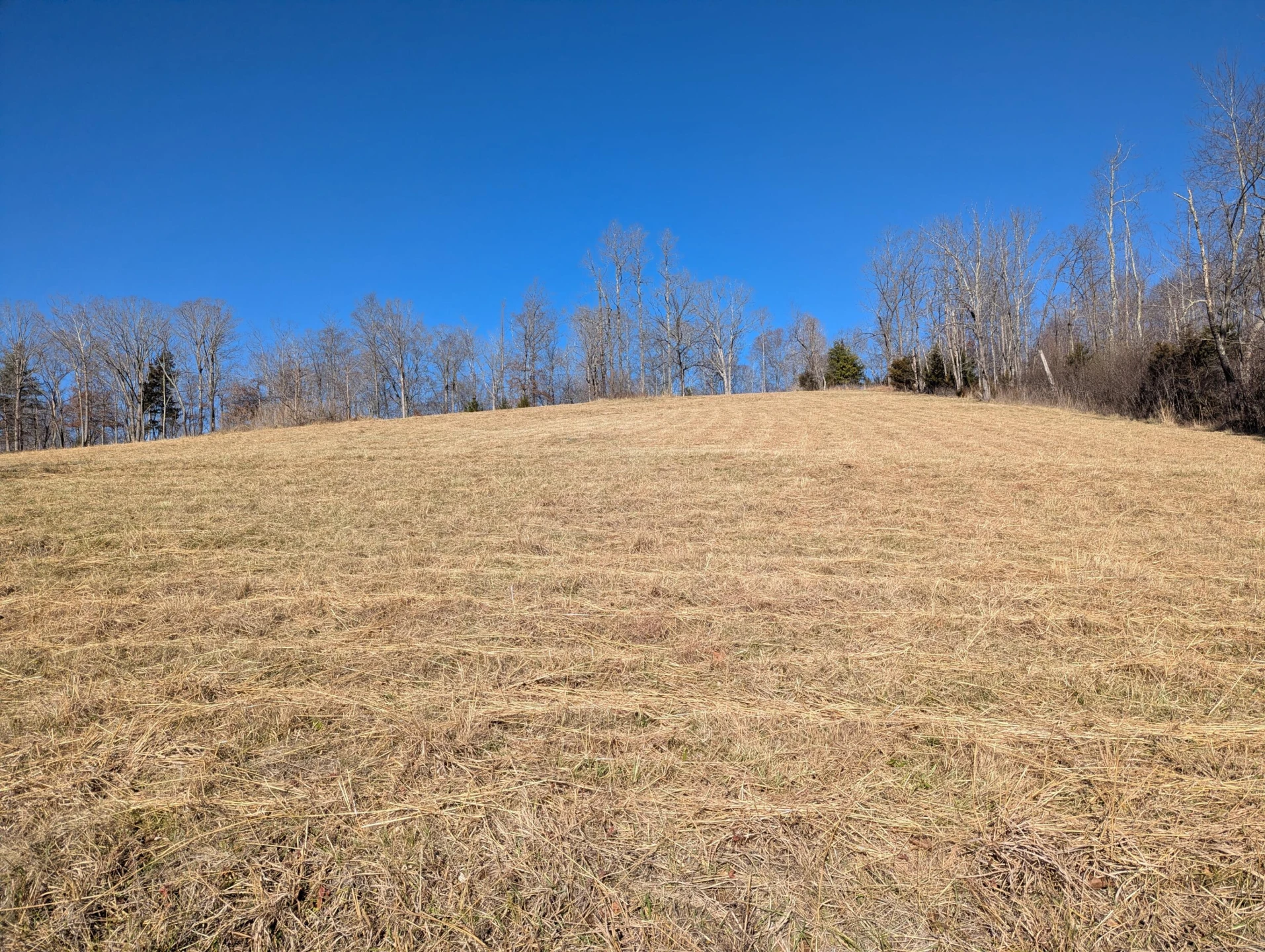 0 Tharp Creek RD - Photo 15