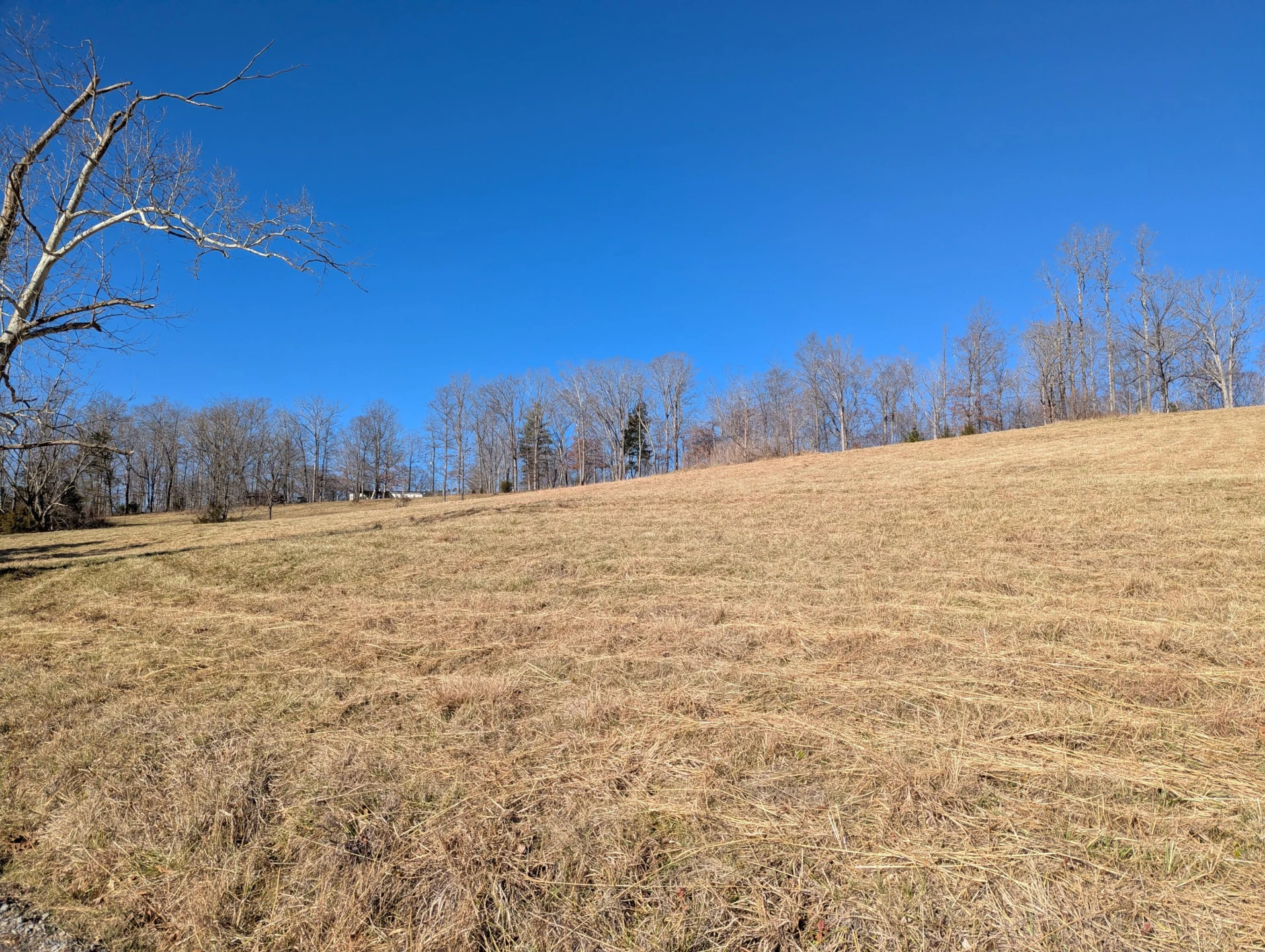 0 Tharp Creek RD - Photo 16