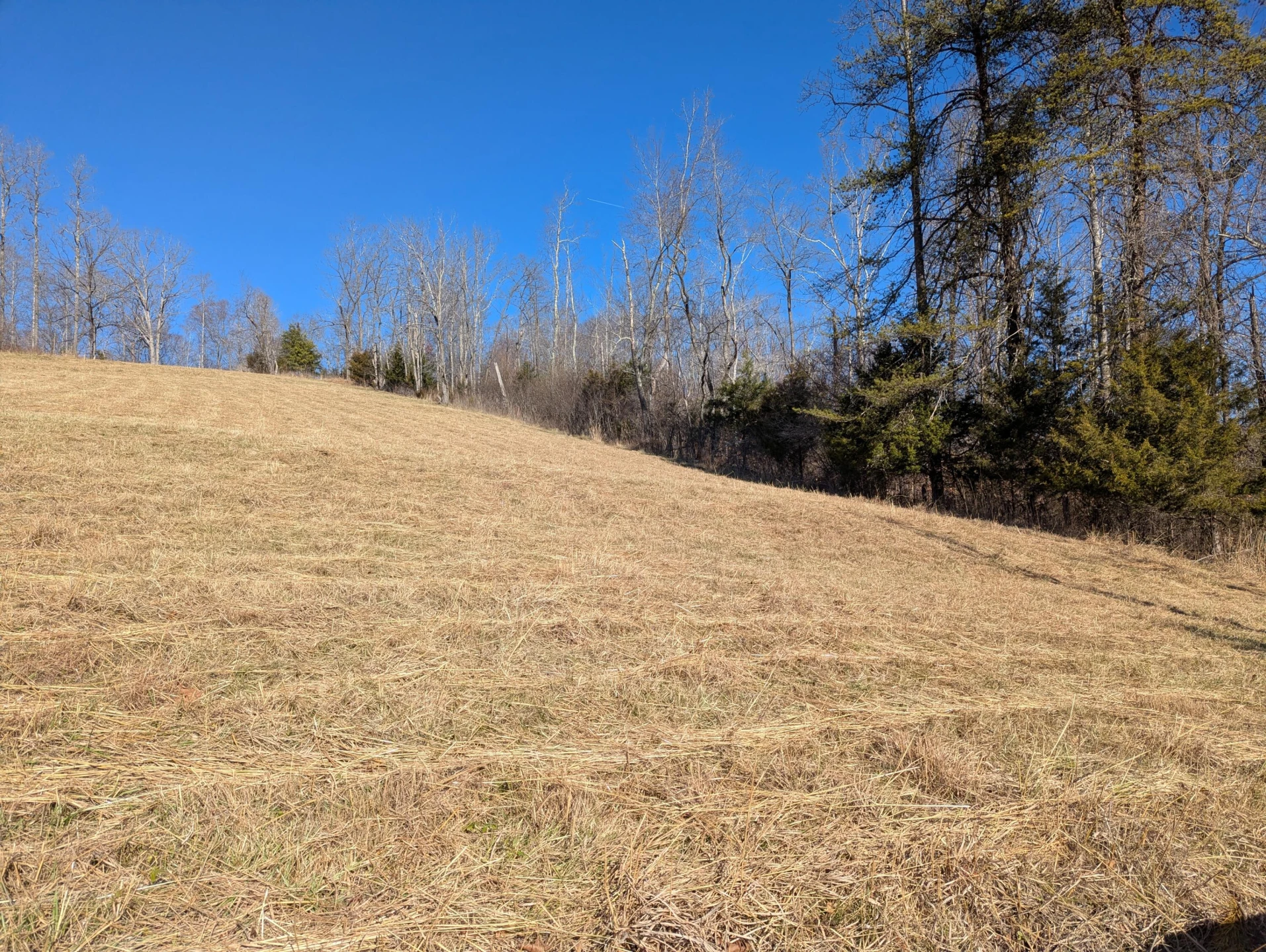 0 Tharp Creek RD - Photo 17