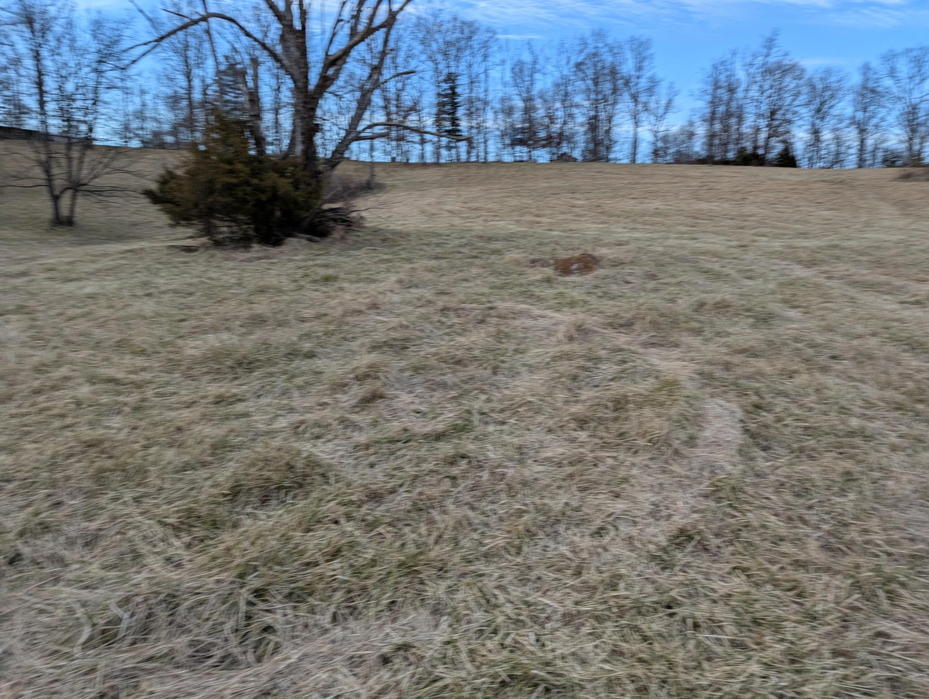 0 Tharp Creek RD - Photo 22