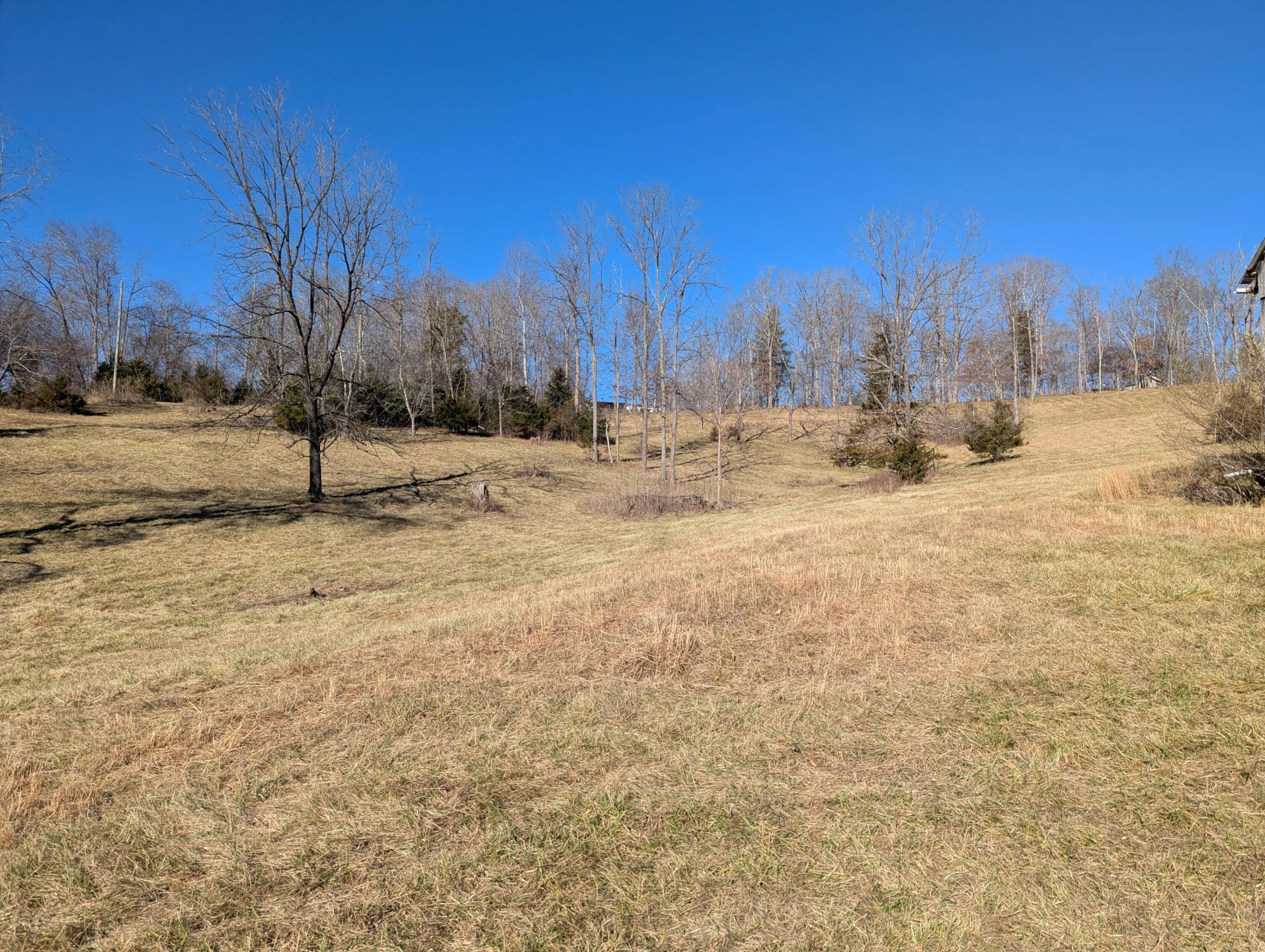 0 Tharp Creek RD - Photo 7