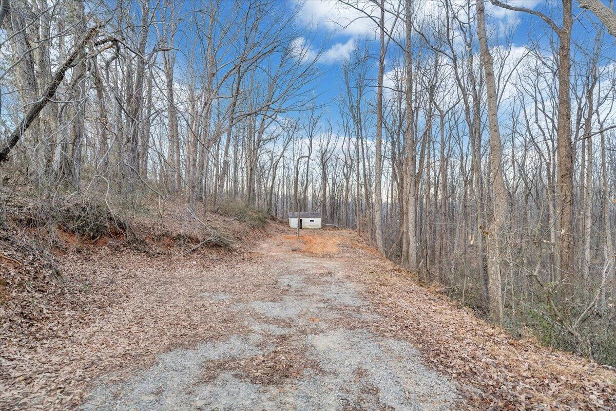 585 Doe Run RD - Photo 5