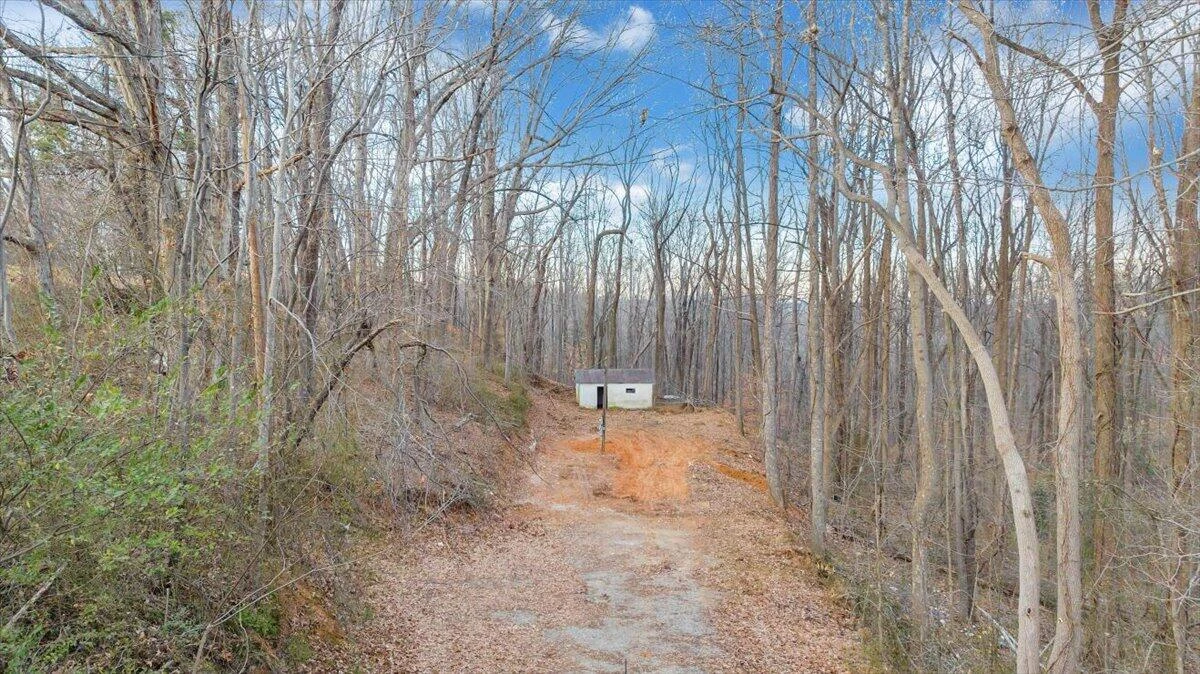 585 Doe Run RD - Photo 6