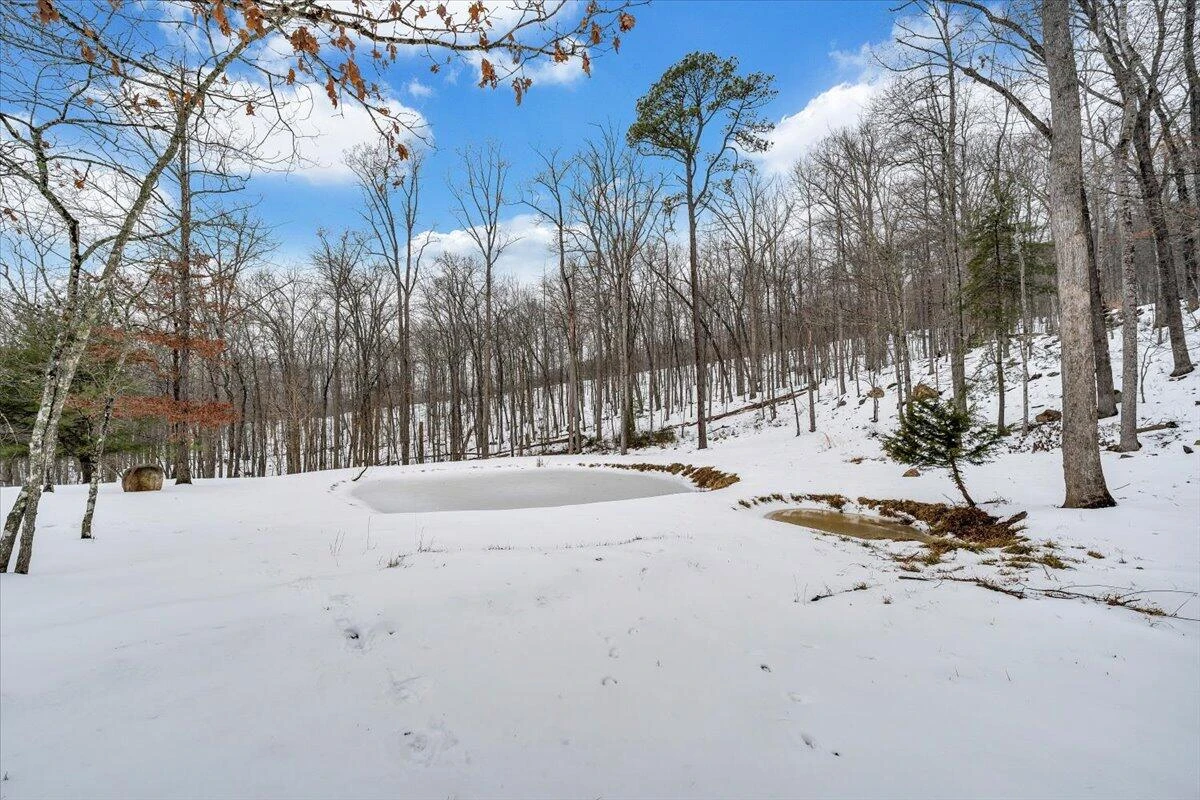 261 Stone Mountain DR - Photo 51