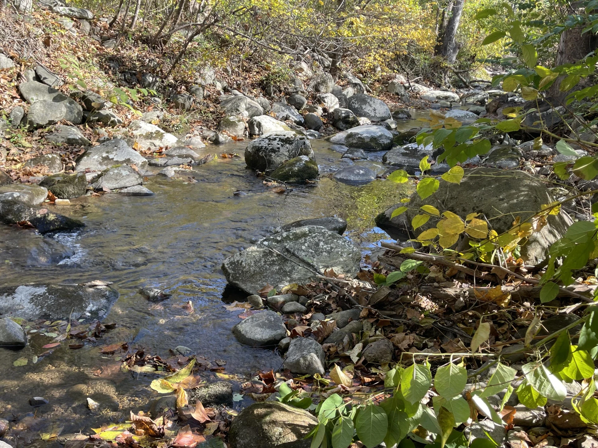 0 Hunting Creek RD