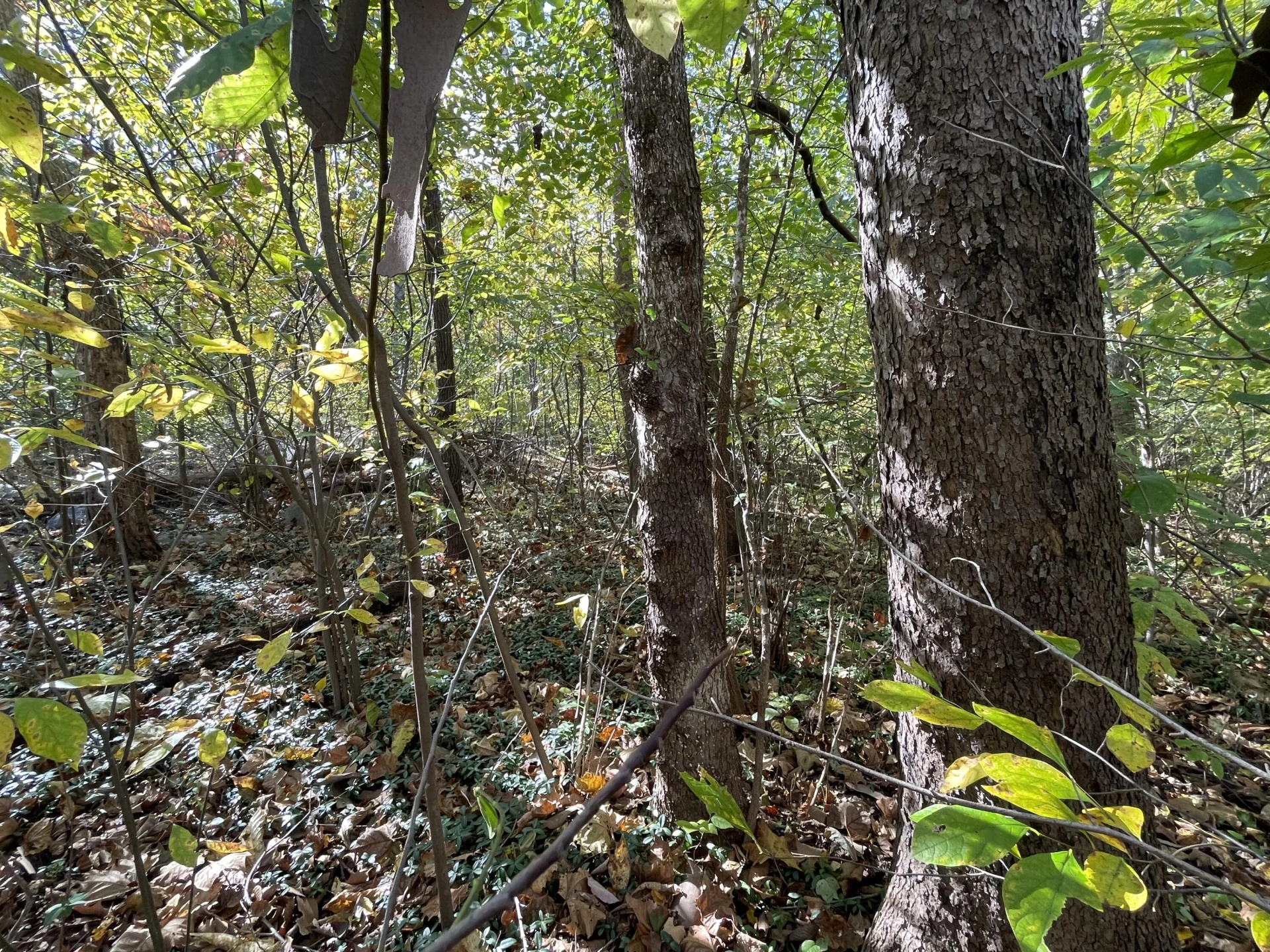 0 Hunting Creek RD - Photo 11