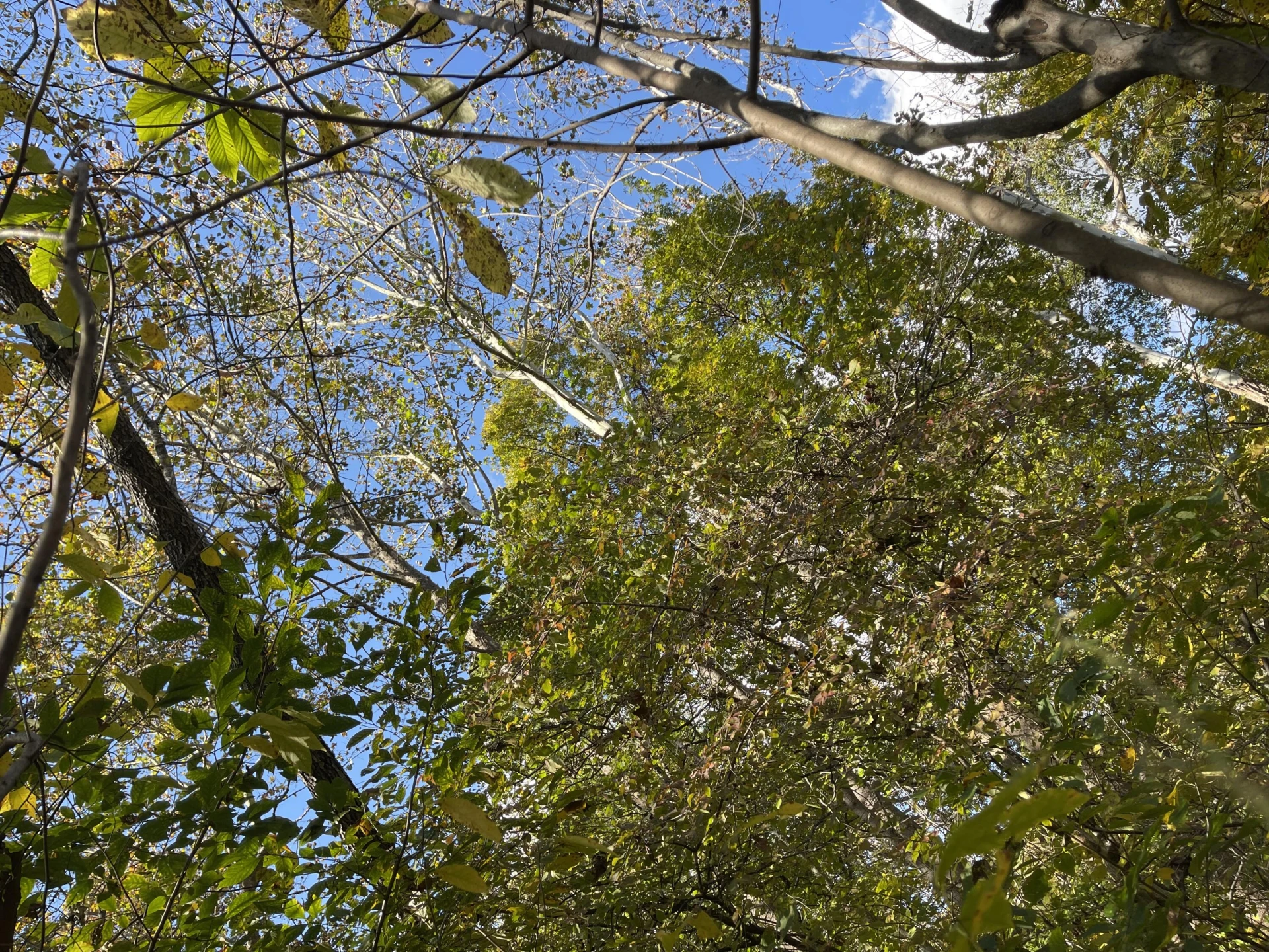 0 Hunting Creek RD - Photo 12