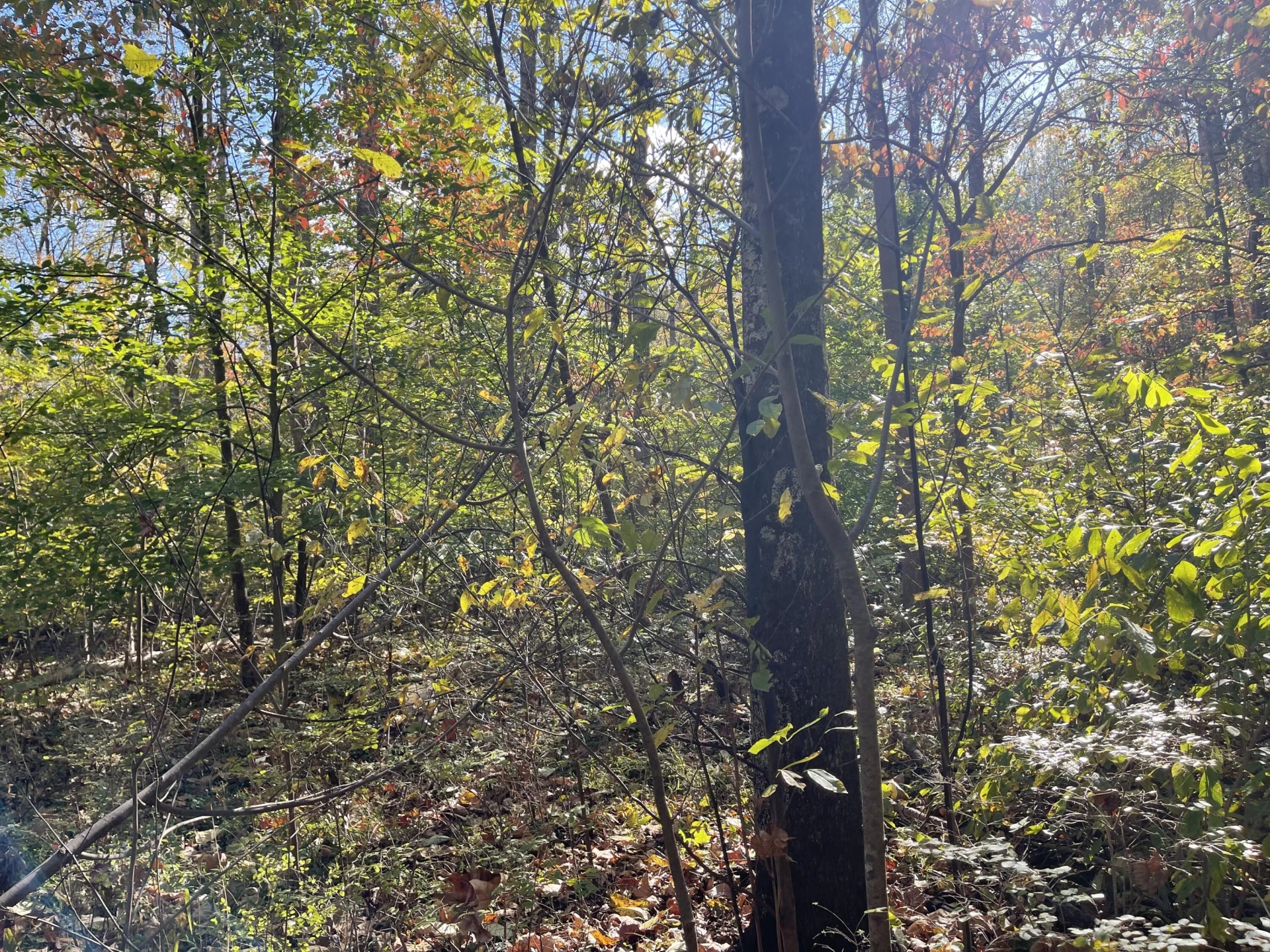 0 Hunting Creek RD - Photo 13