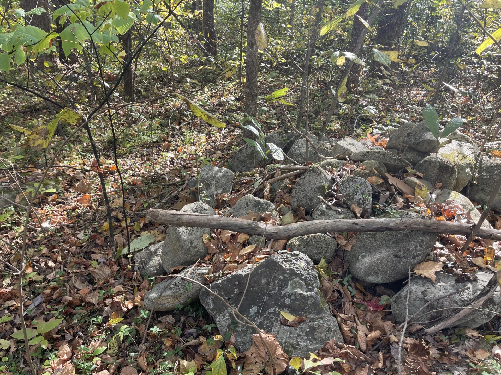 0 Hunting Creek RD - Photo 17
