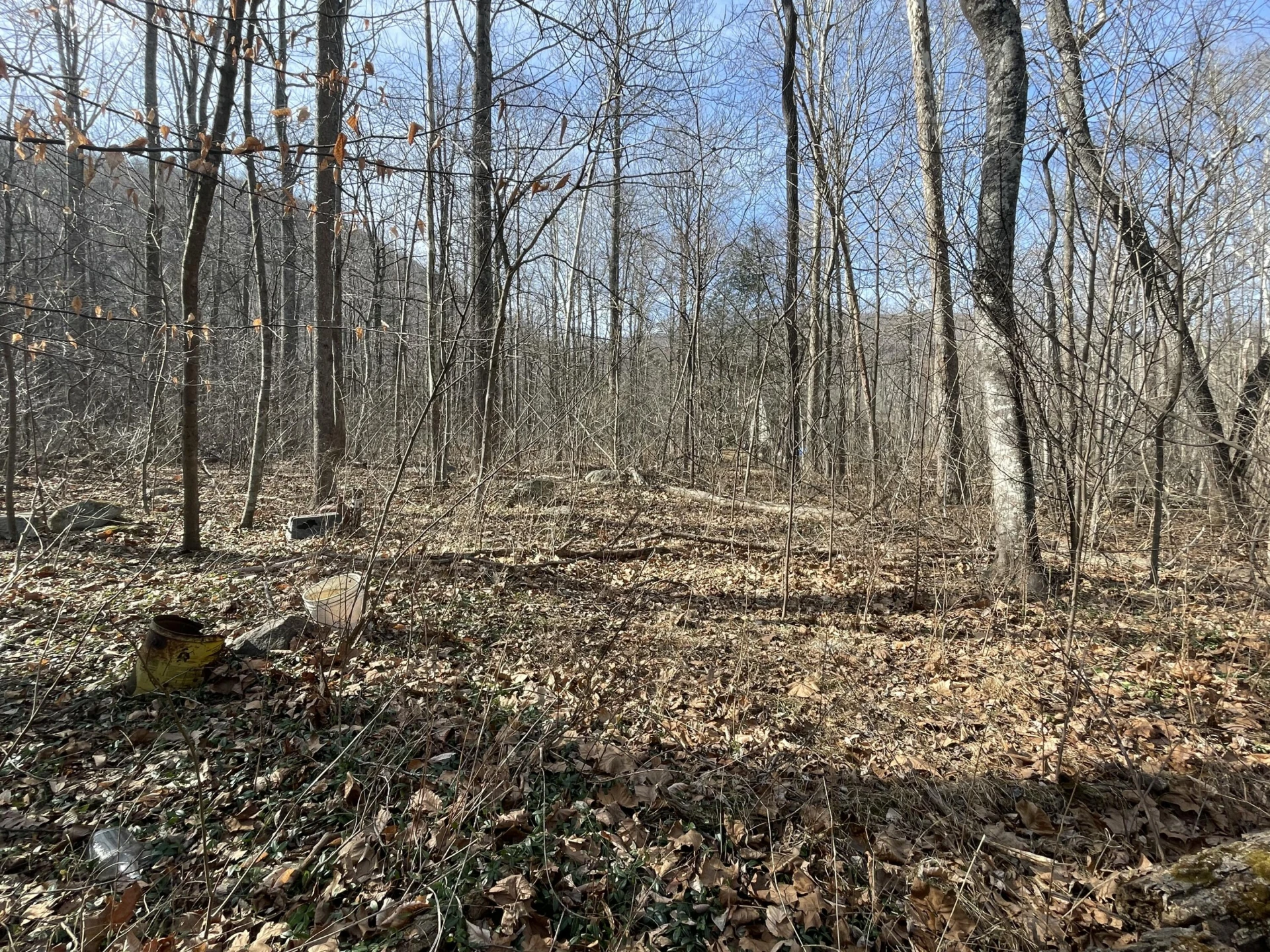 0 Hunting Creek RD - Photo 19