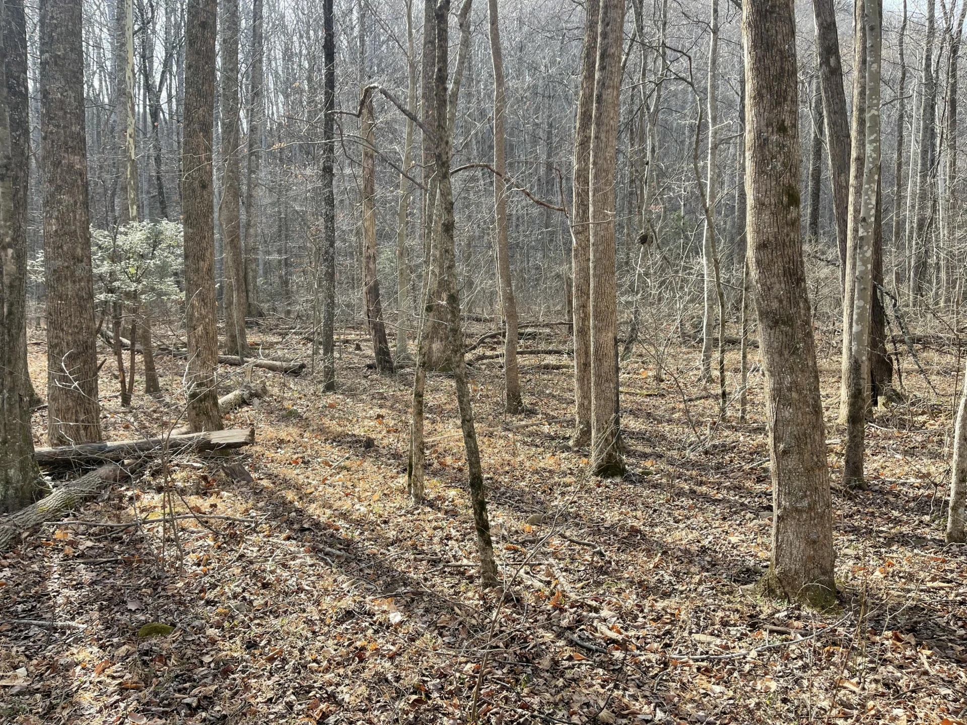 0 Hunting Creek RD - Photo 20