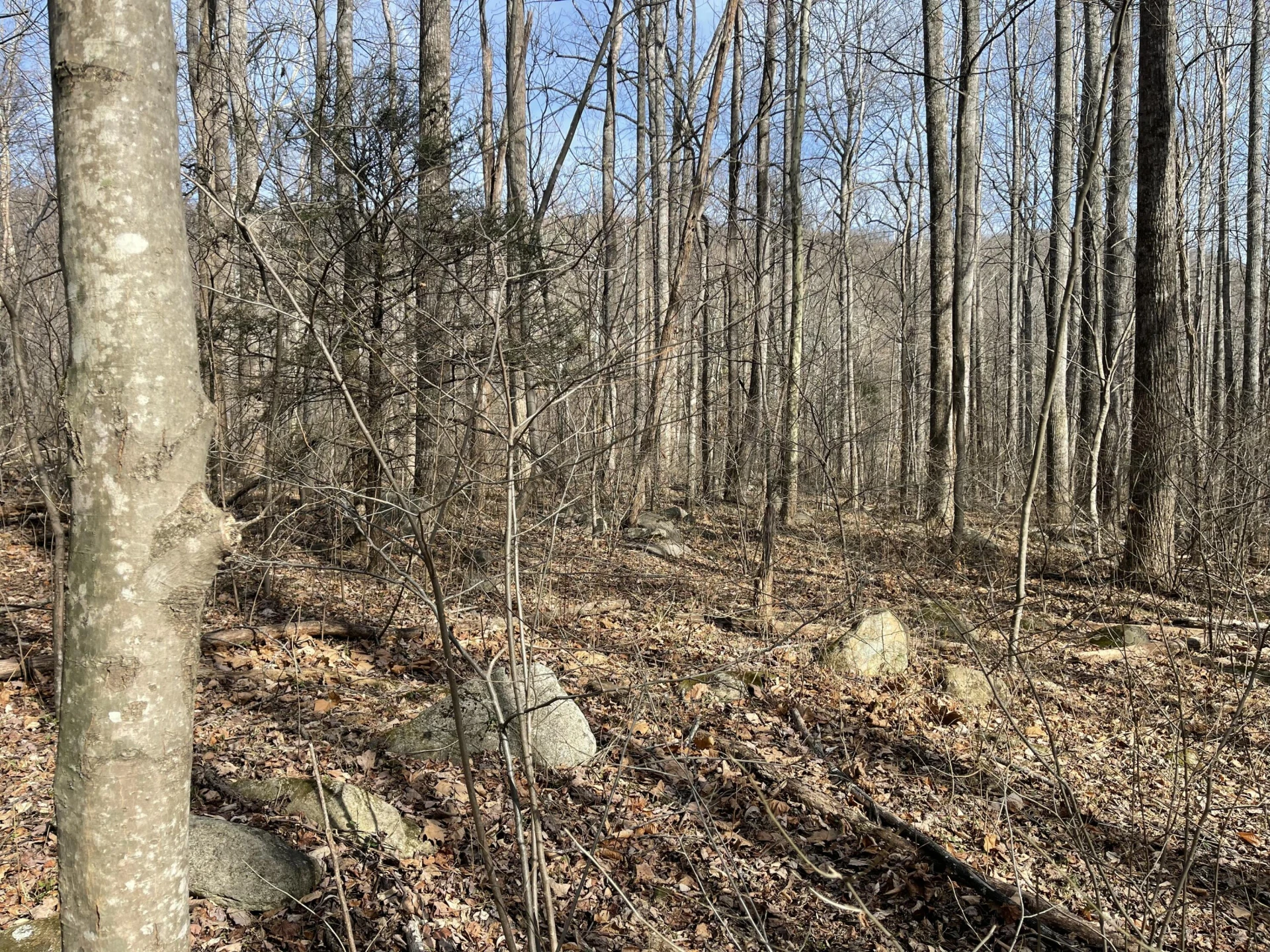 0 Hunting Creek RD - Photo 21