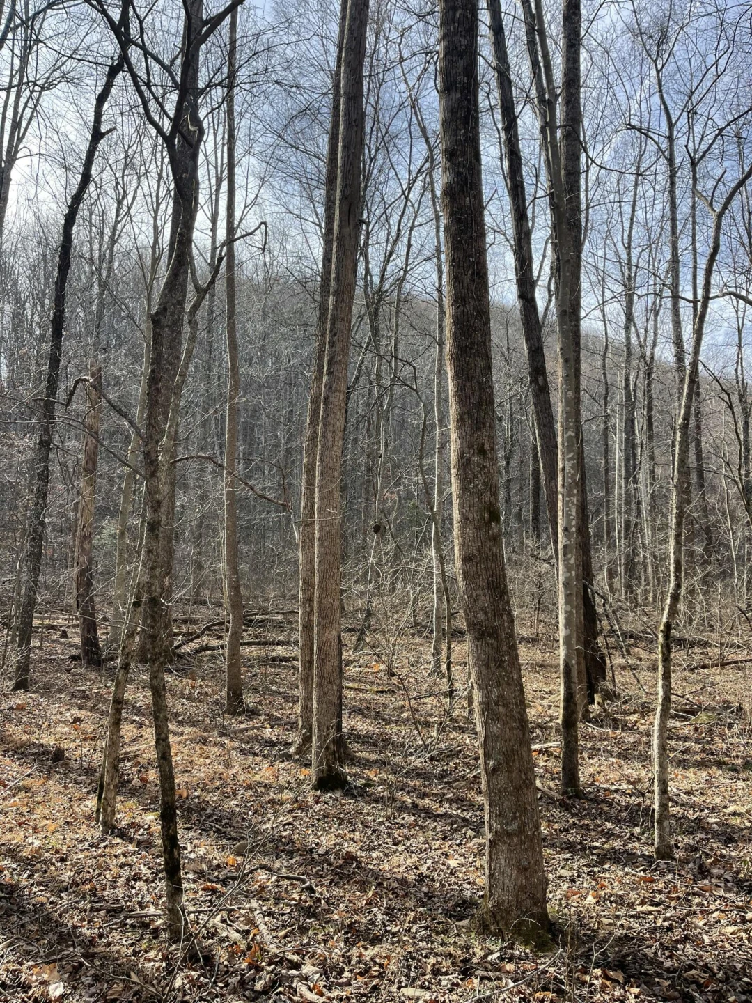0 Hunting Creek RD - Photo 22