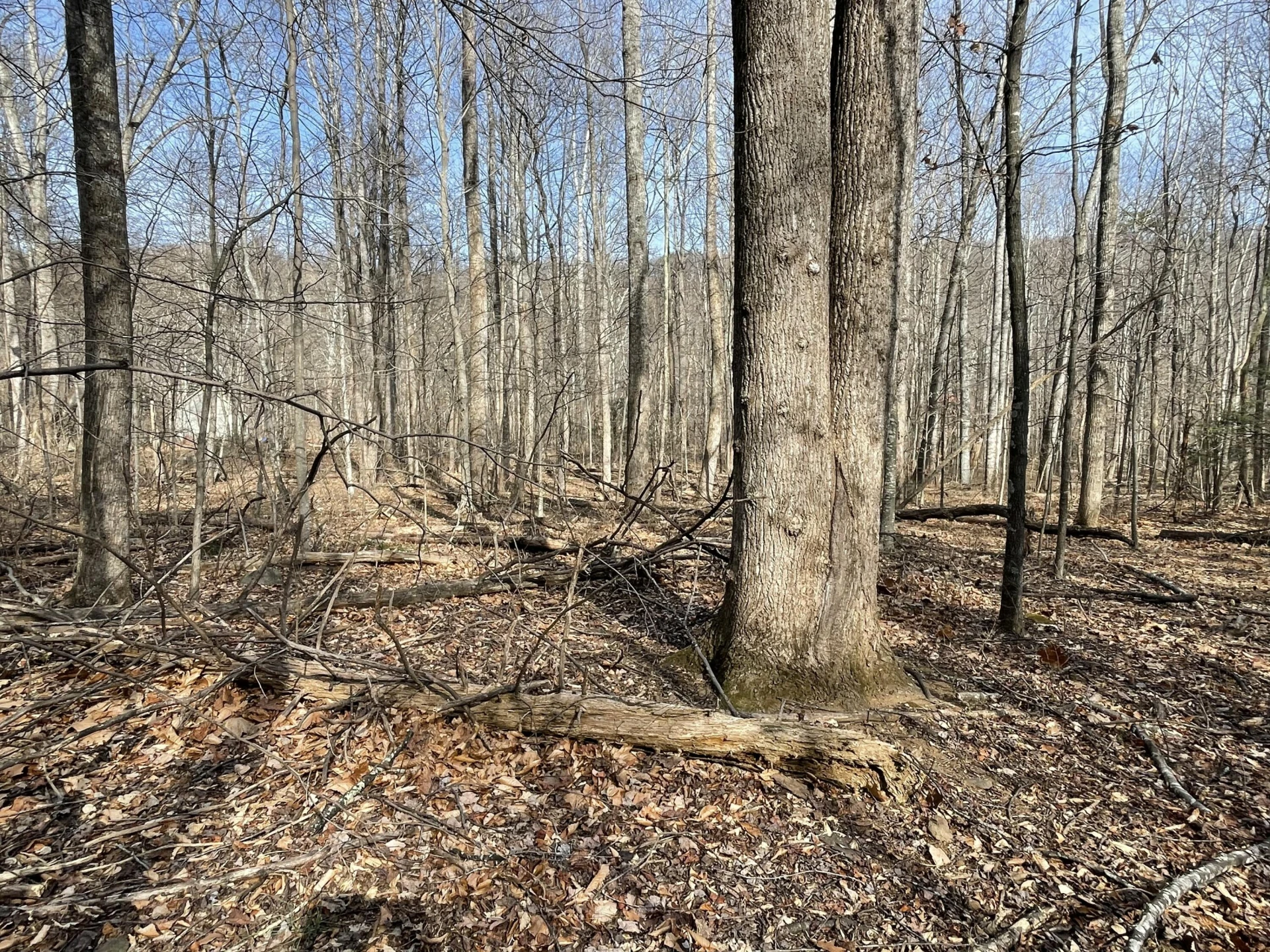 0 Hunting Creek RD - Photo 23