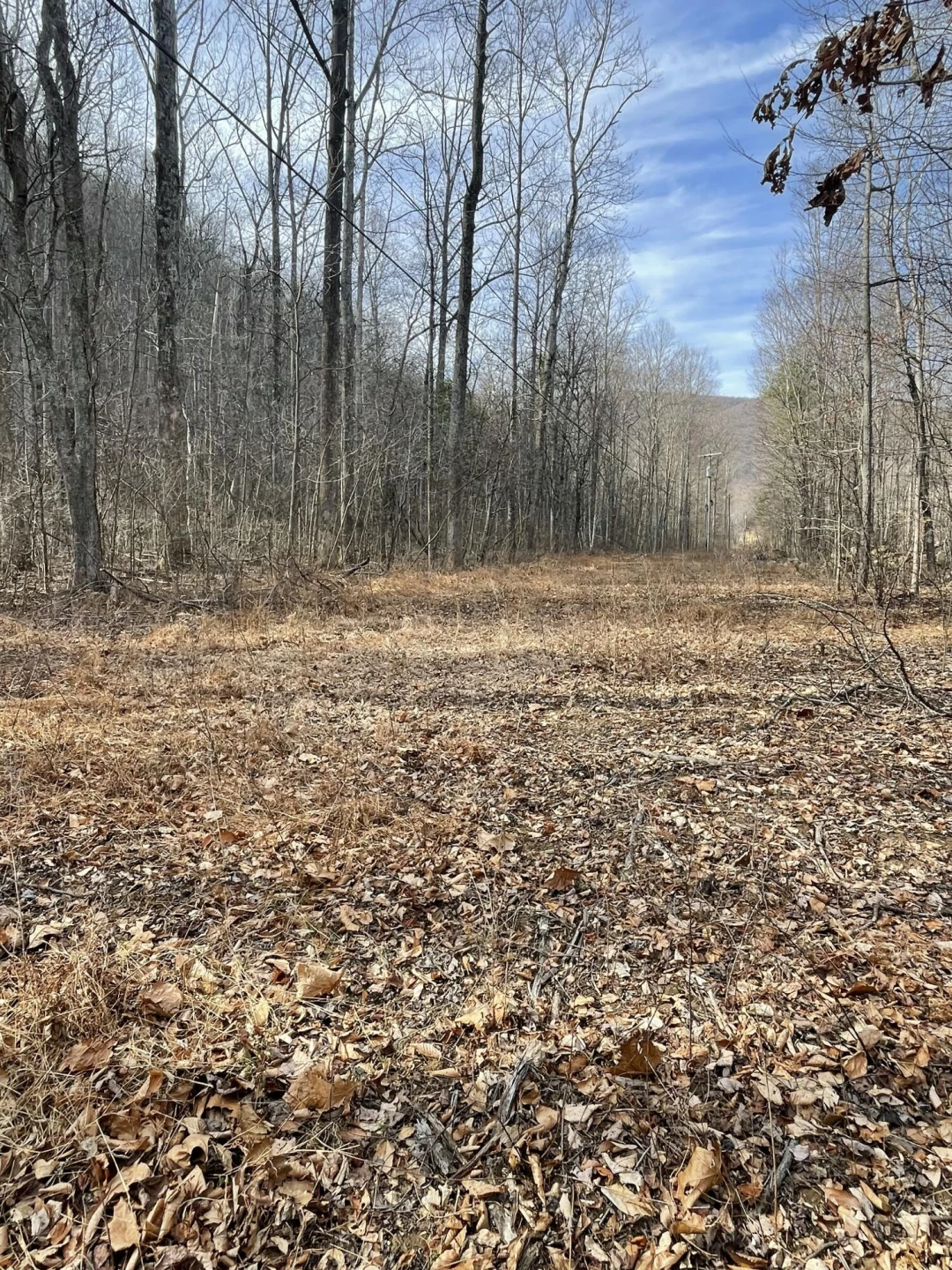 0 Hunting Creek RD - Photo 24