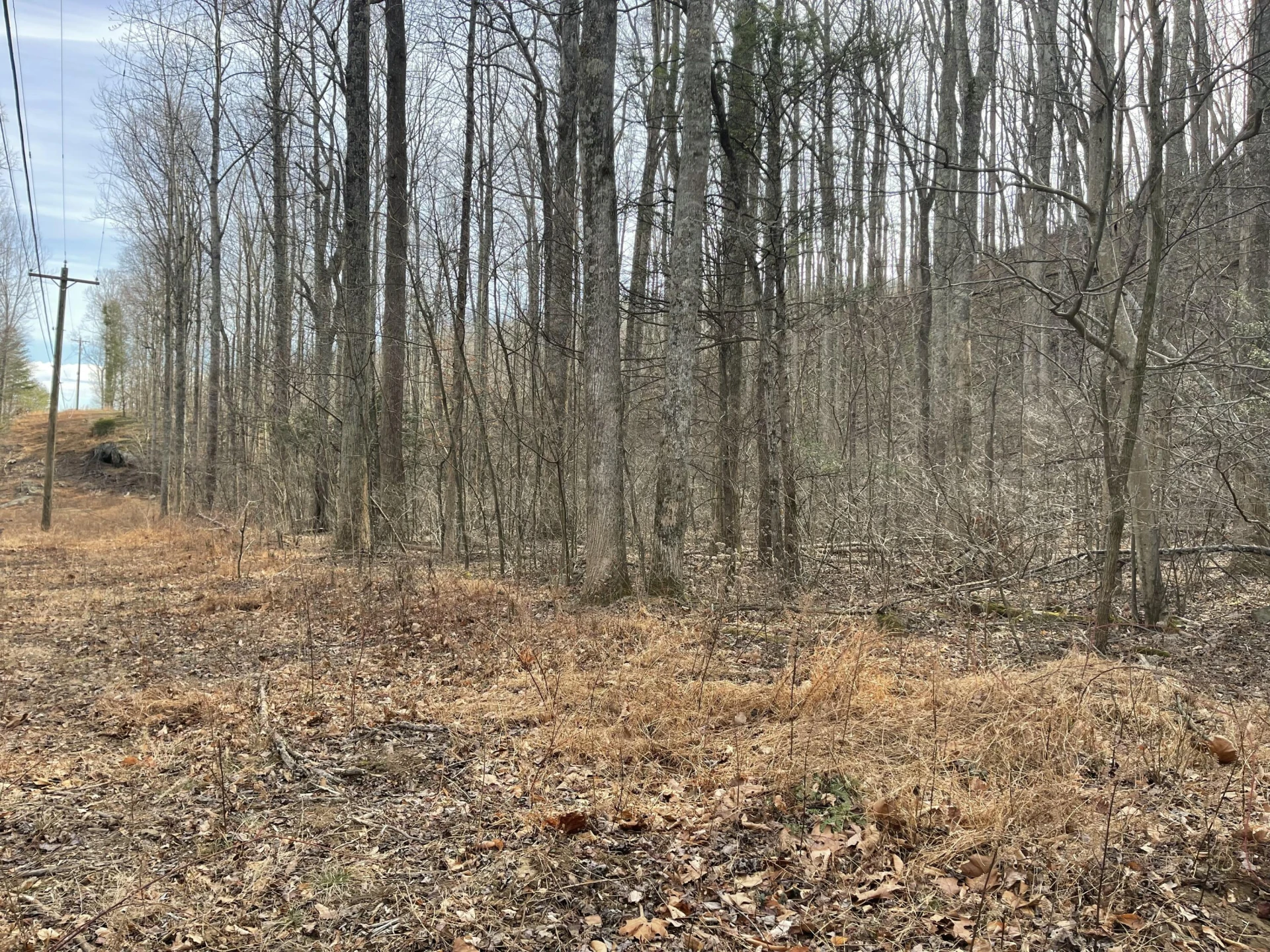 0 Hunting Creek RD - Photo 28