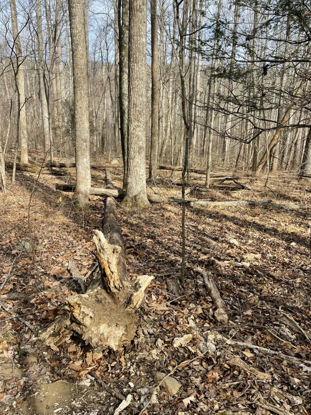 0 Hunting Creek RD - Photo 29