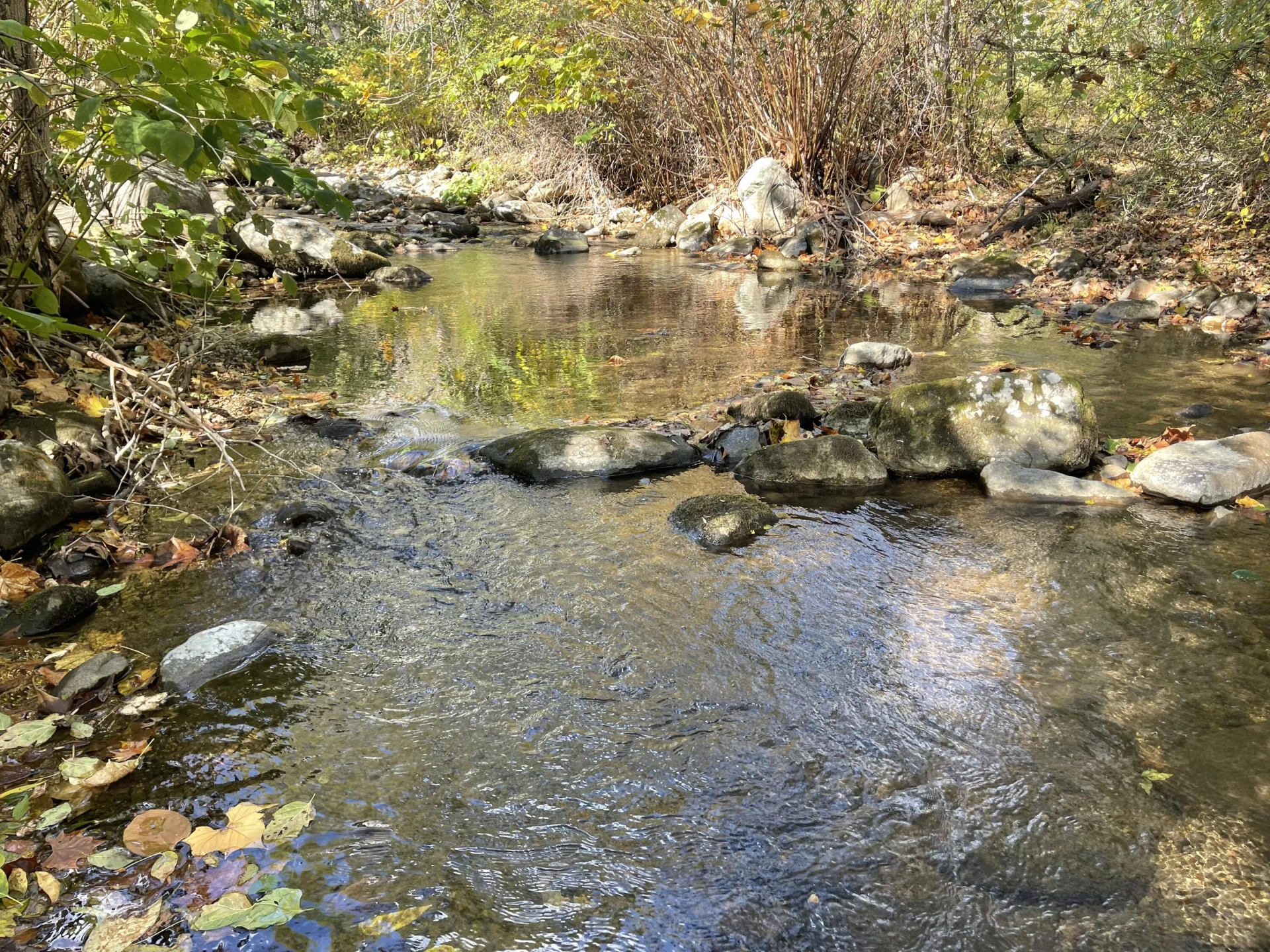 0 Hunting Creek RD - Photo 3