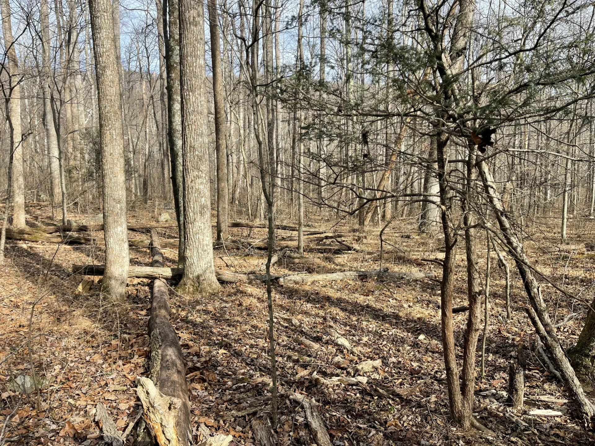 0 Hunting Creek RD - Photo 30