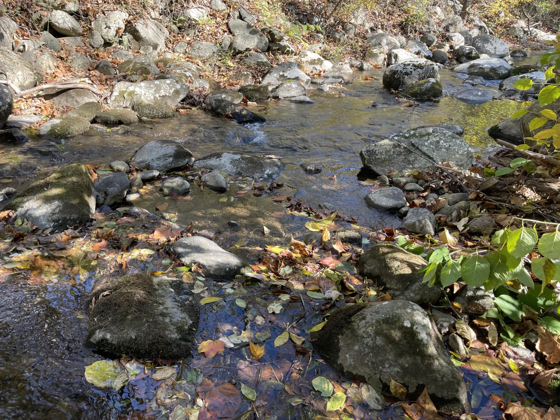 0 Hunting Creek RD - Photo 4