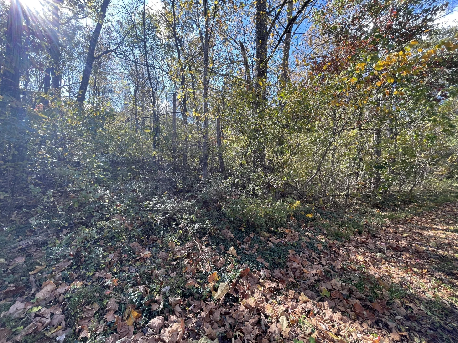 0 Hunting Creek RD - Photo 5