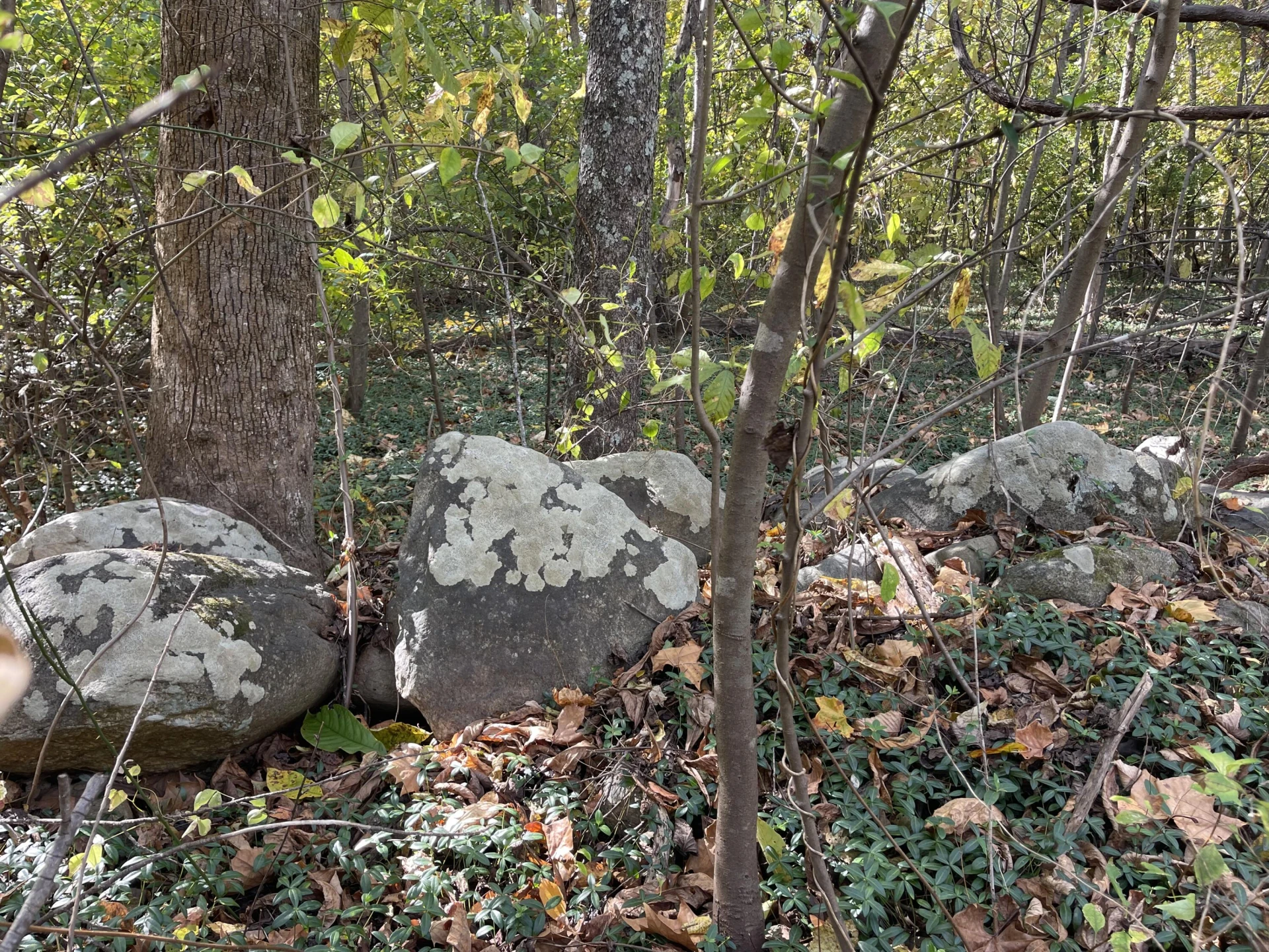 0 Hunting Creek RD - Photo 7