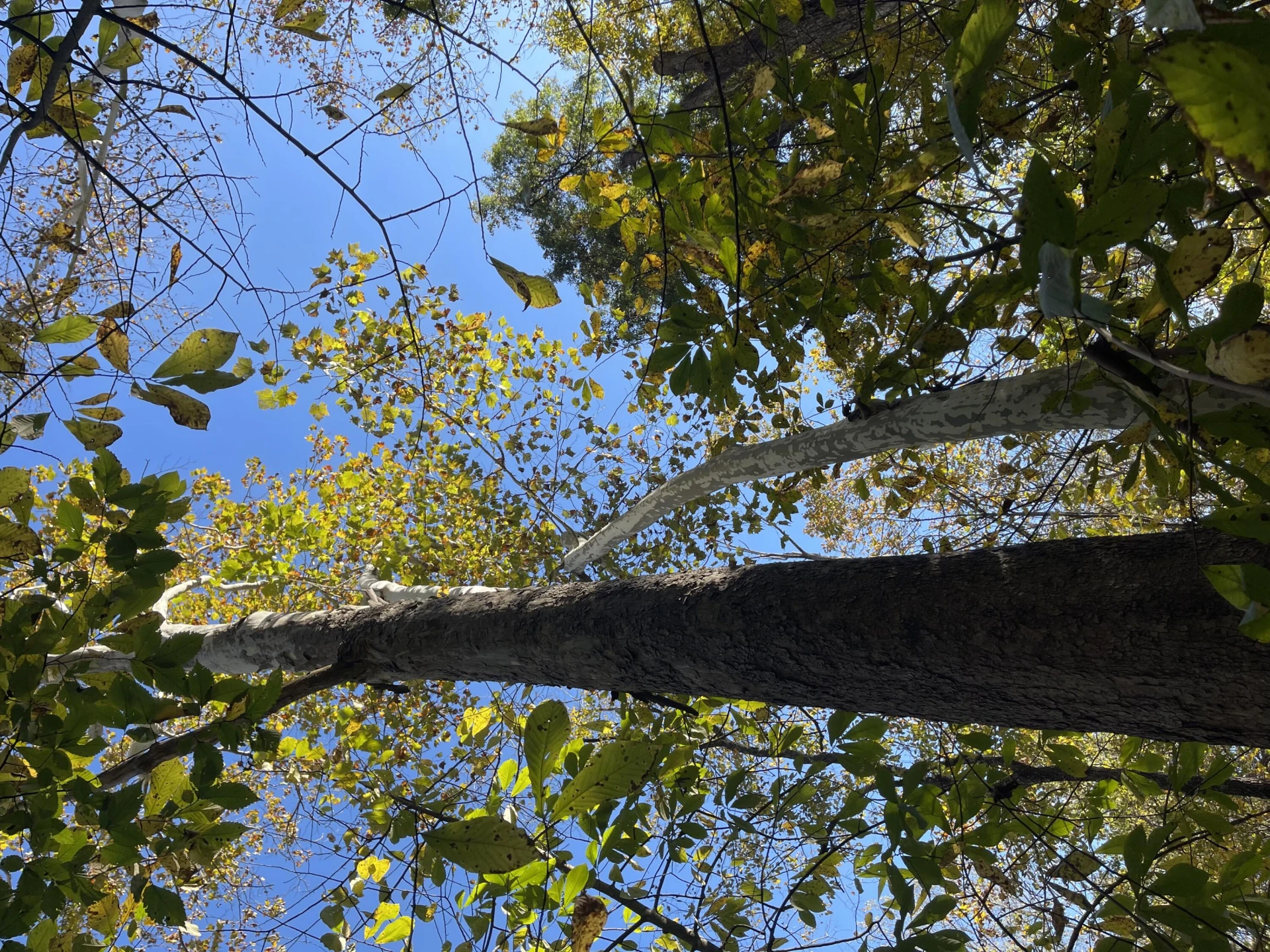 0 Hunting Creek RD - Photo 9