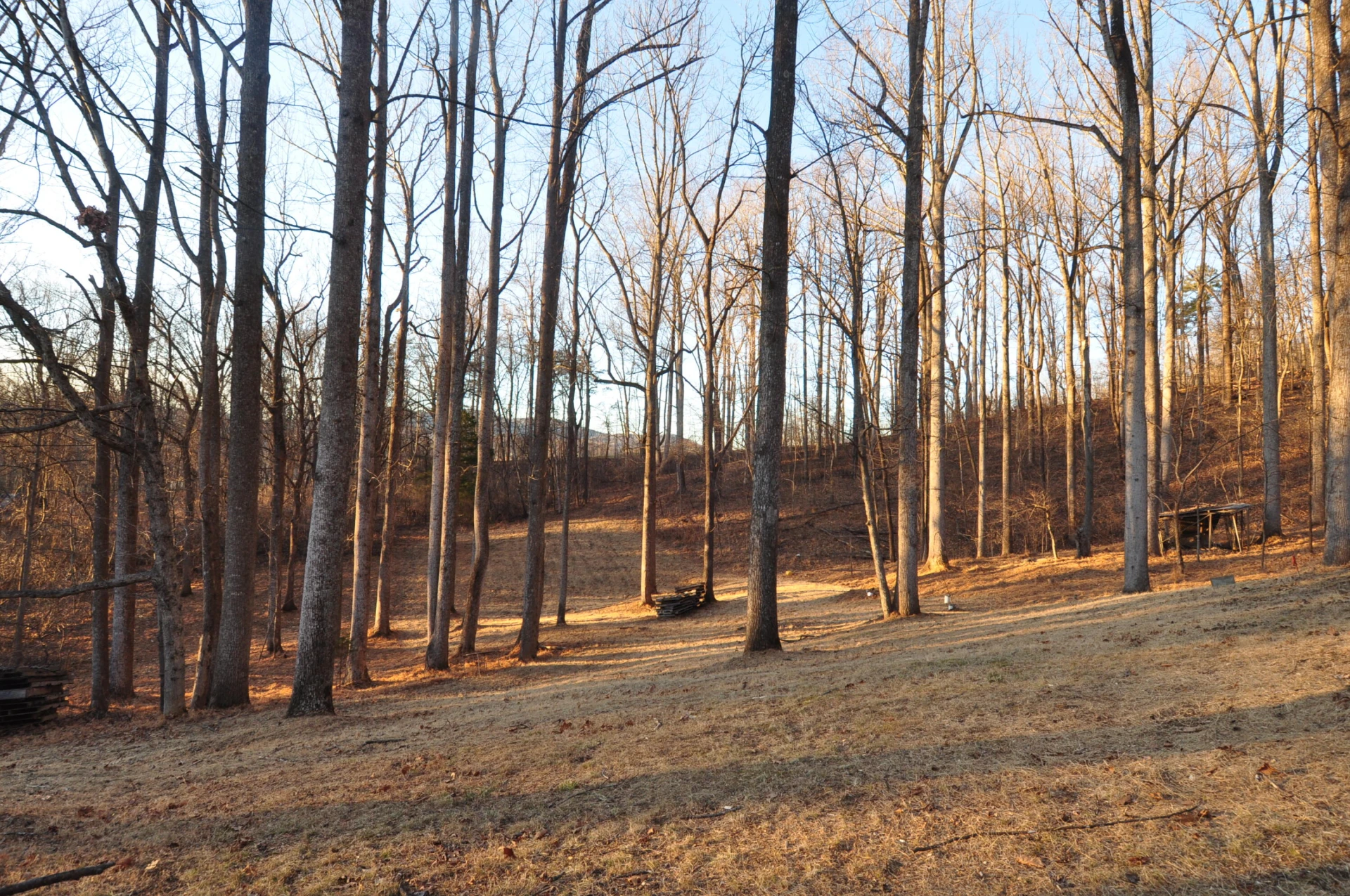 1138 Buckridge TER - Photo 10
