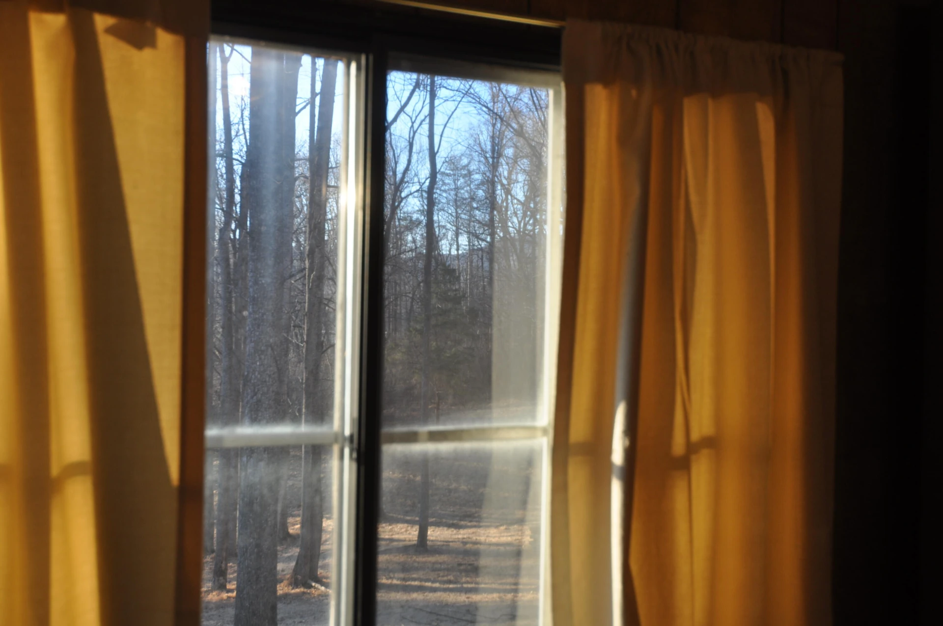 1138 Buckridge TER - Photo 5