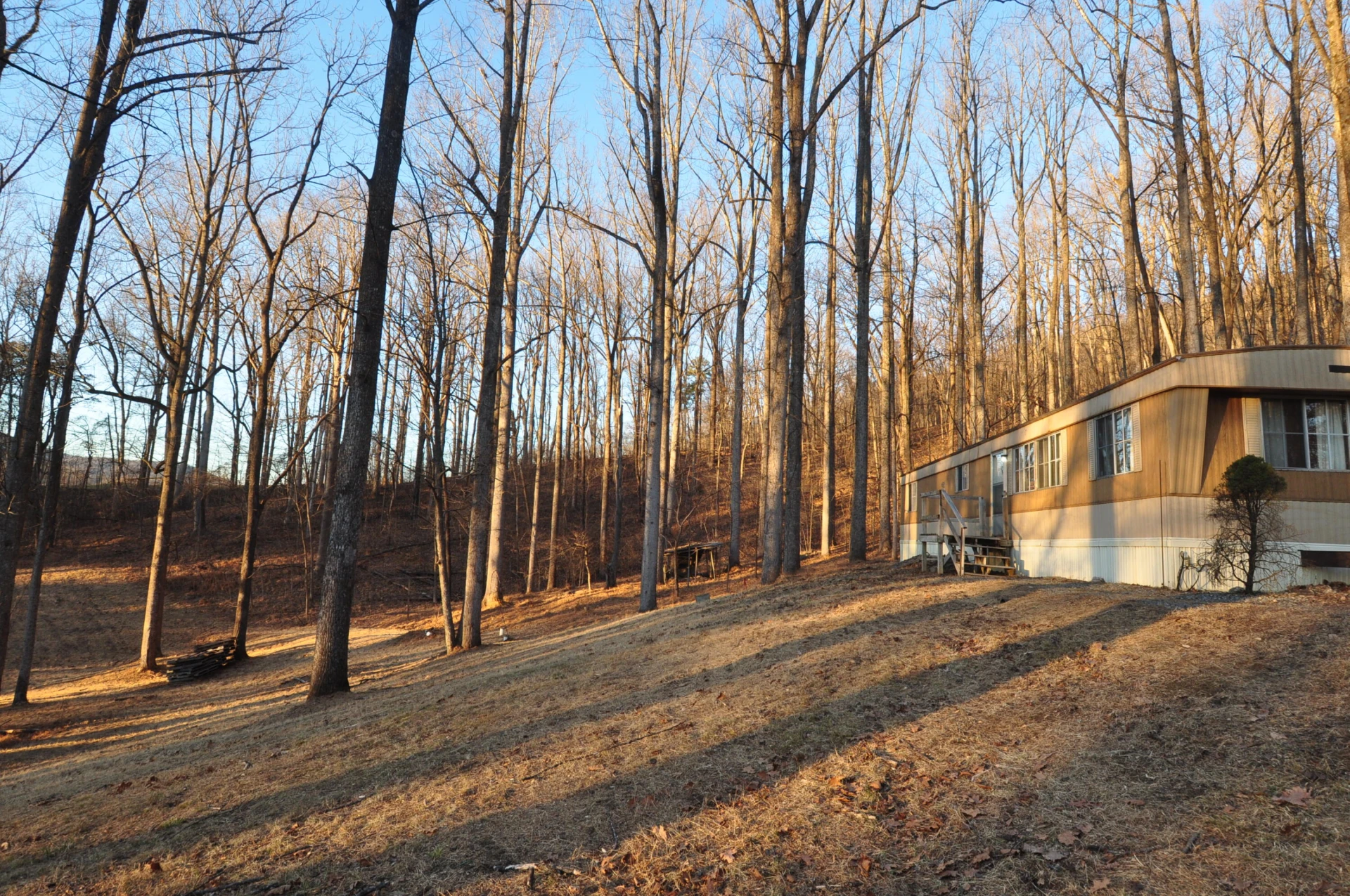 1138 Buckridge TER - Photo 9