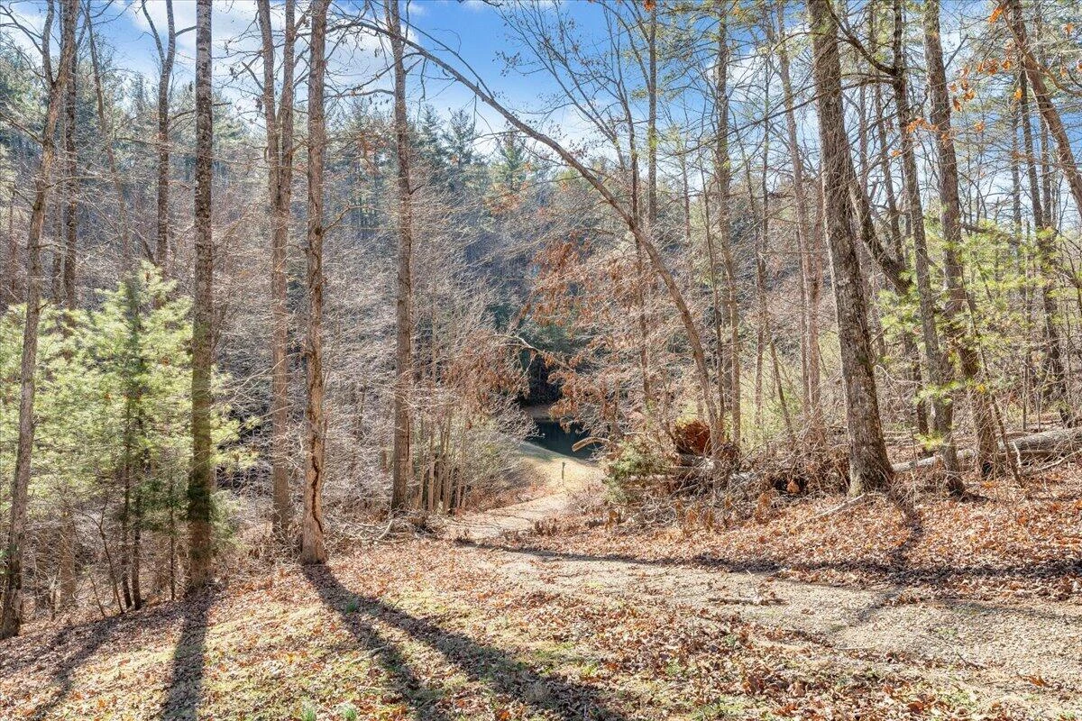 365 Isolane RD - Photo 39