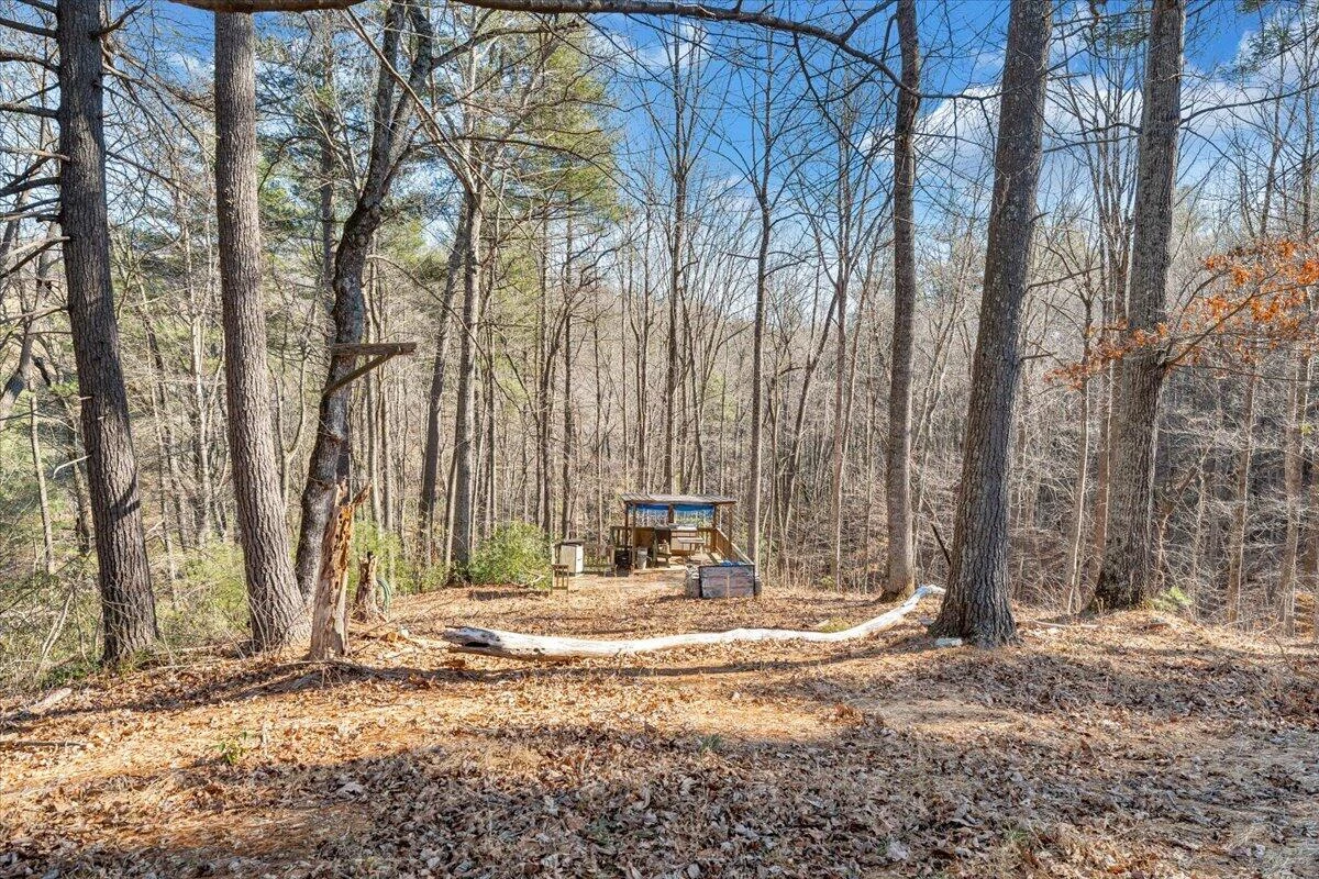 365 Isolane RD - Photo 41