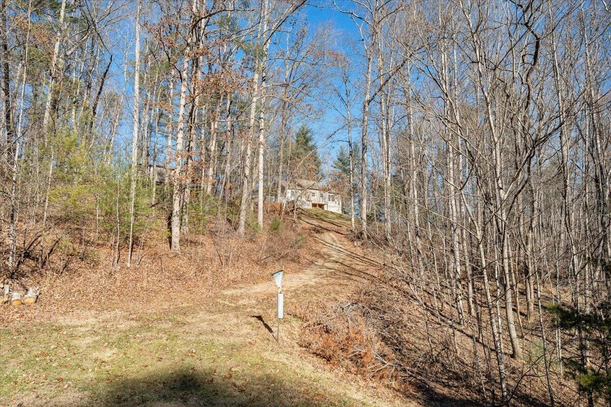 365 Isolane RD - Photo 47