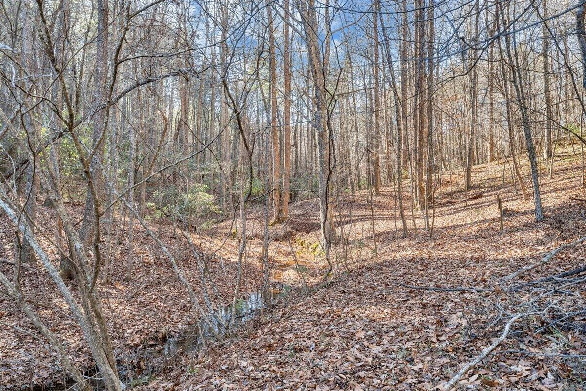 365 Isolane RD - Photo 57