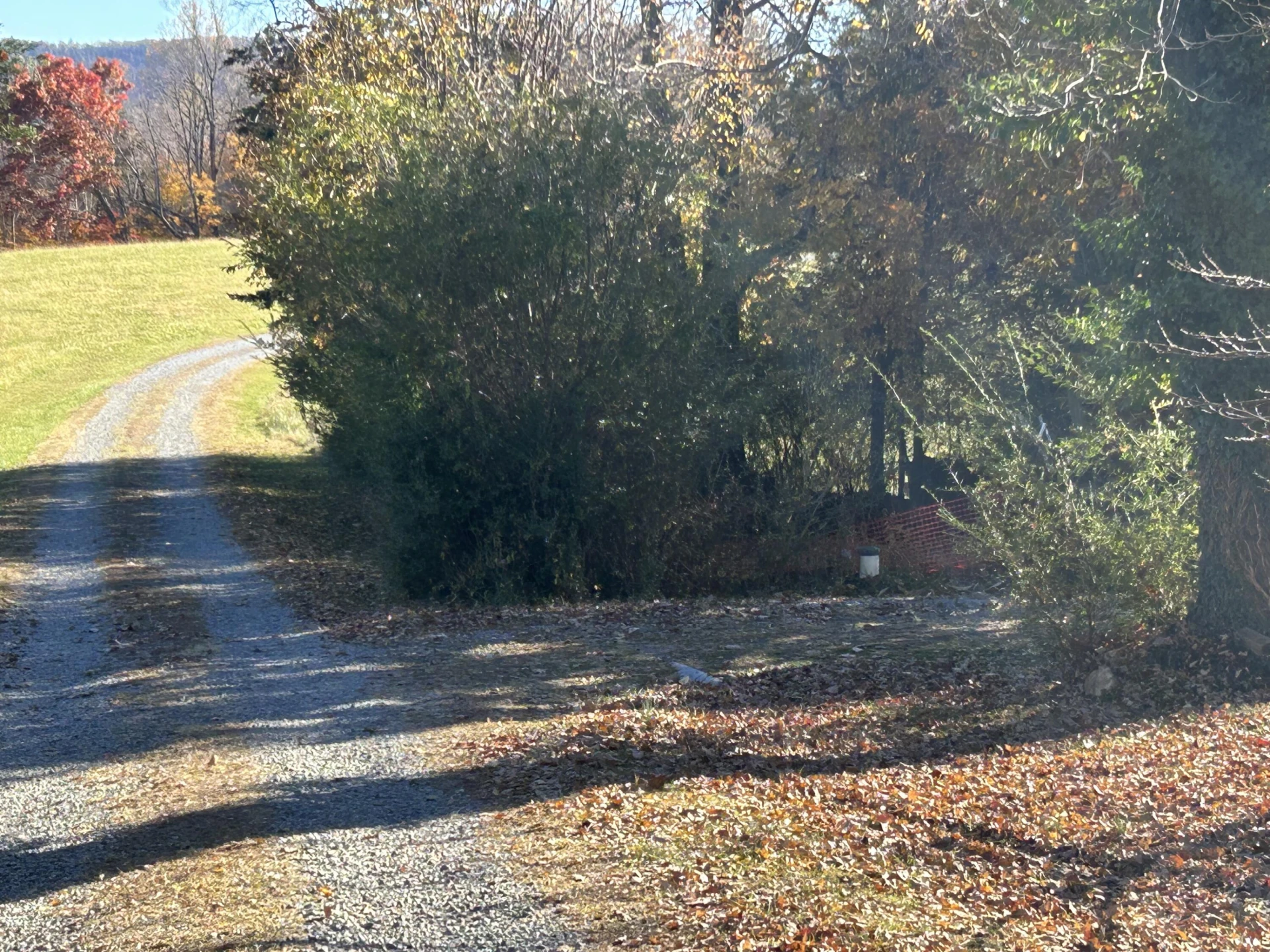 90 Two Oaks LN - Photo 4