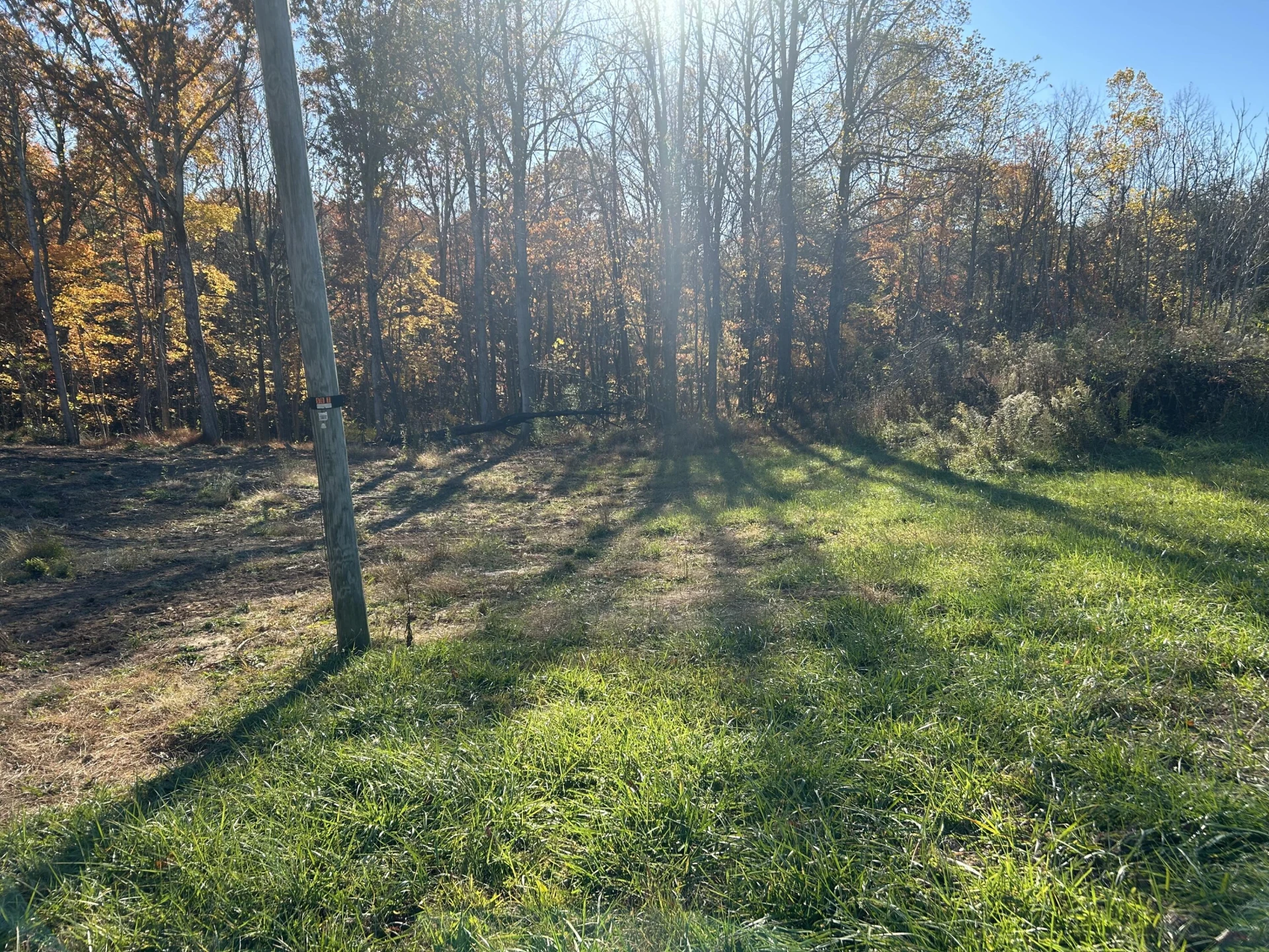 90 Two Oaks LN - Photo 8