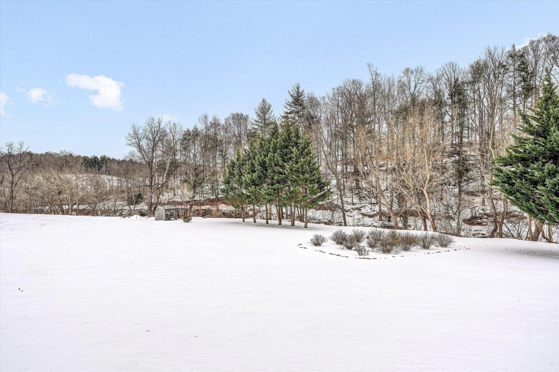 1768 Alean RD - Photo 42