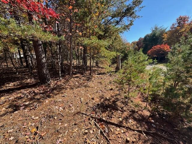 Lot 72 Gap Bridge RD