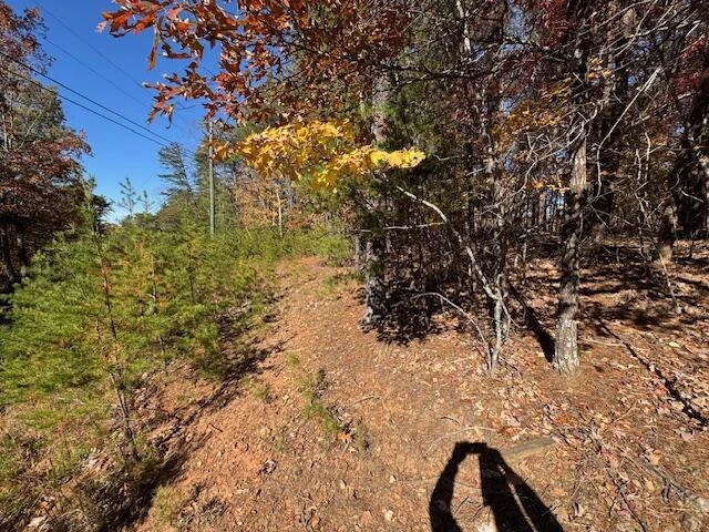 Lot 72 Gap Bridge RD - Photo 2